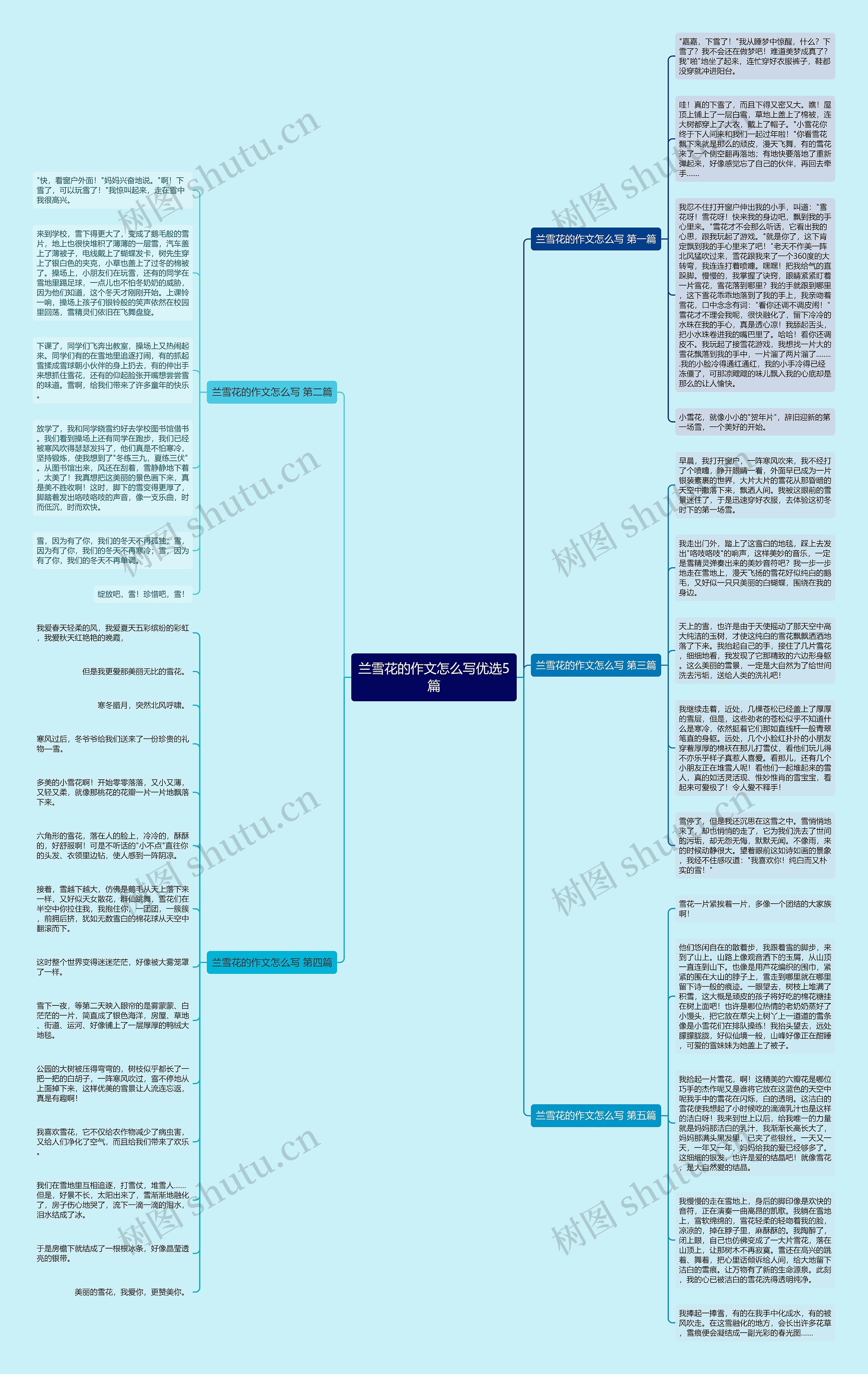 兰雪花的作文怎么写优选5篇思维导图