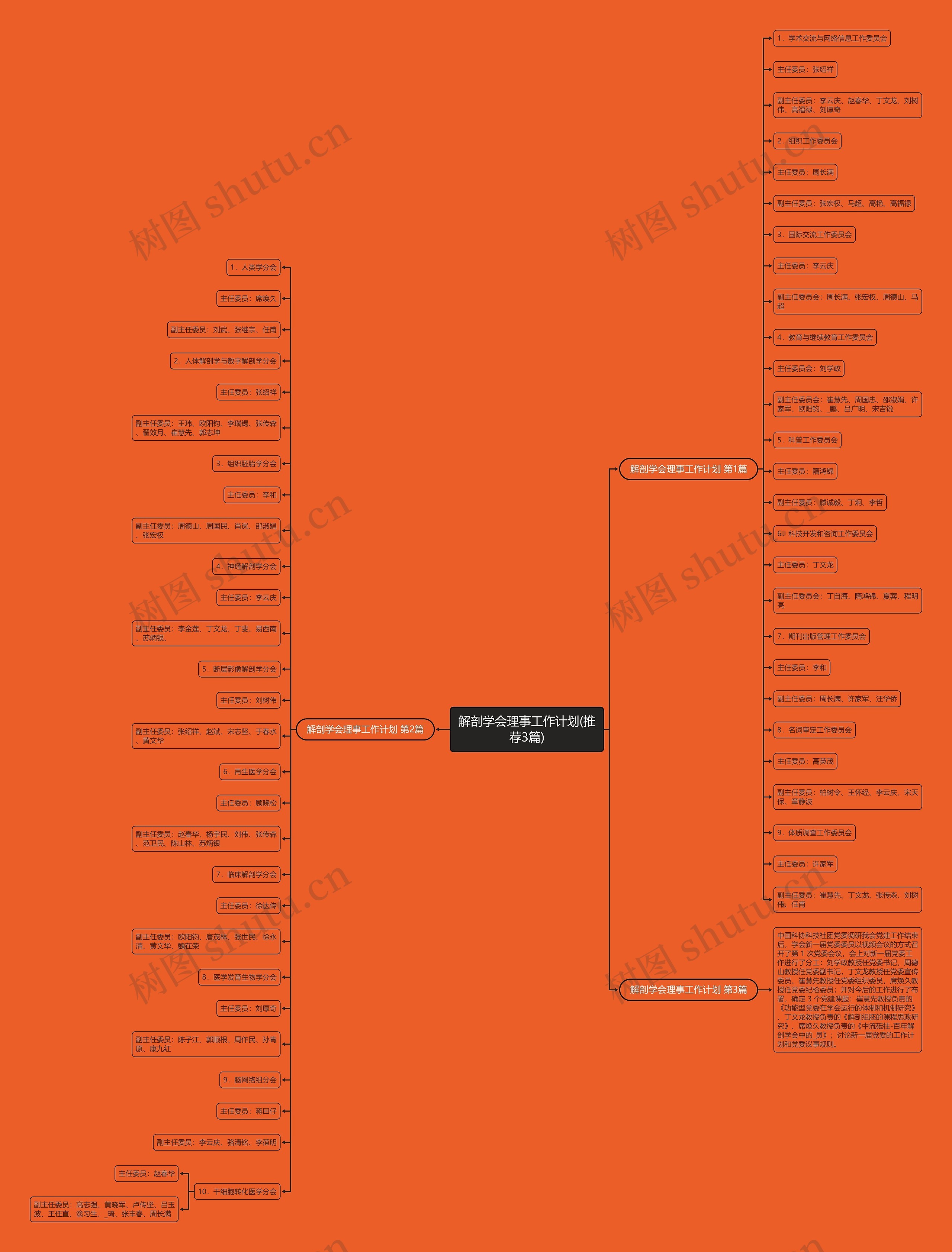 解剖学会理事工作计划(推荐3篇)思维导图