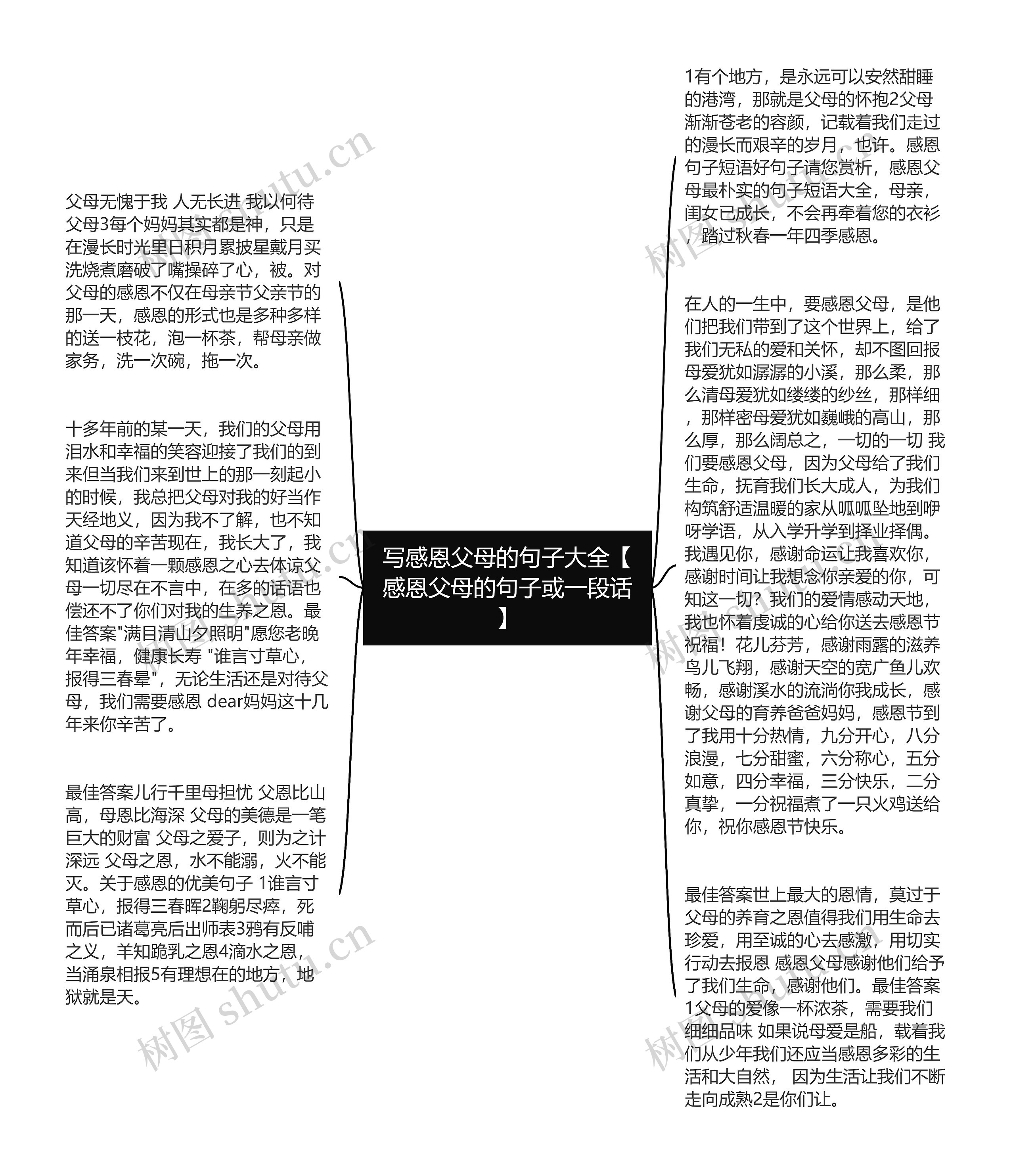 写感恩父母的句子大全【感恩父母的句子或一段话】