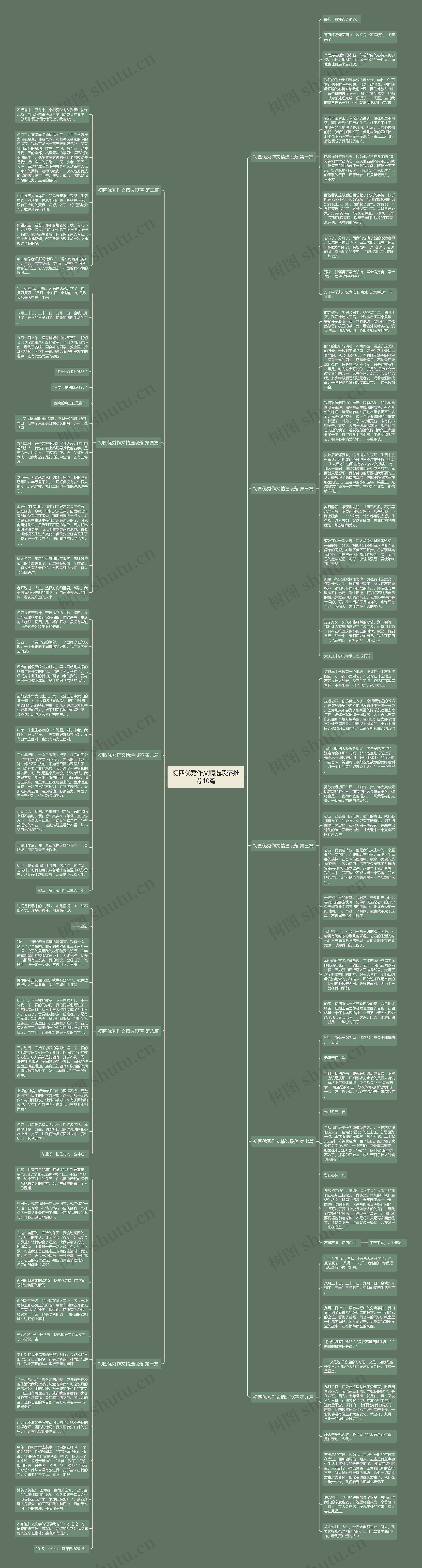 初四优秀作文精选段落推荐10篇思维导图