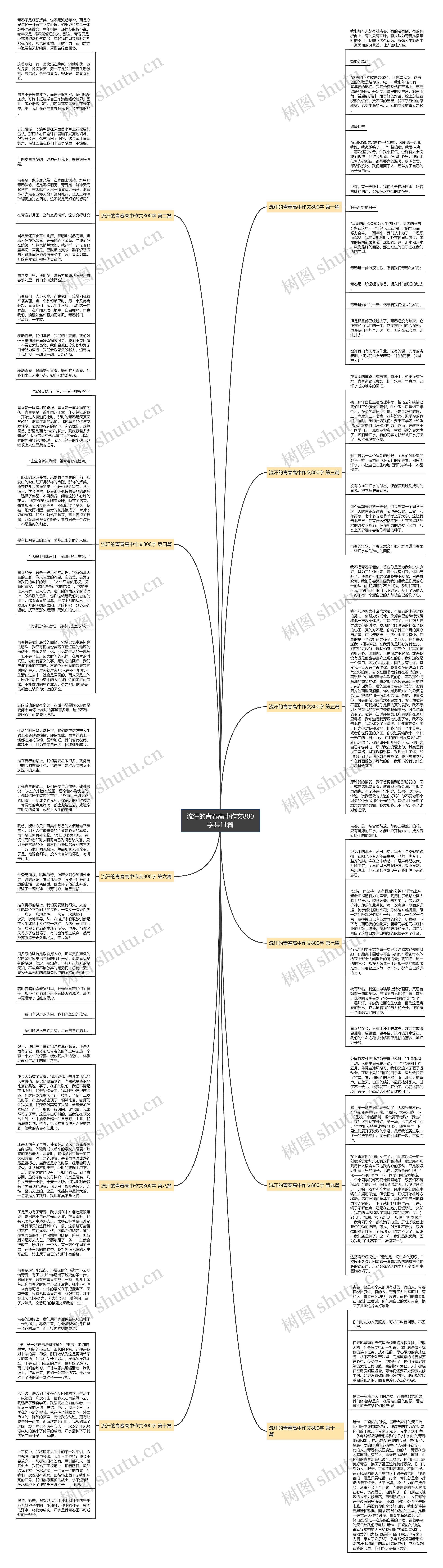 流汗的青春高中作文800字共11篇思维导图