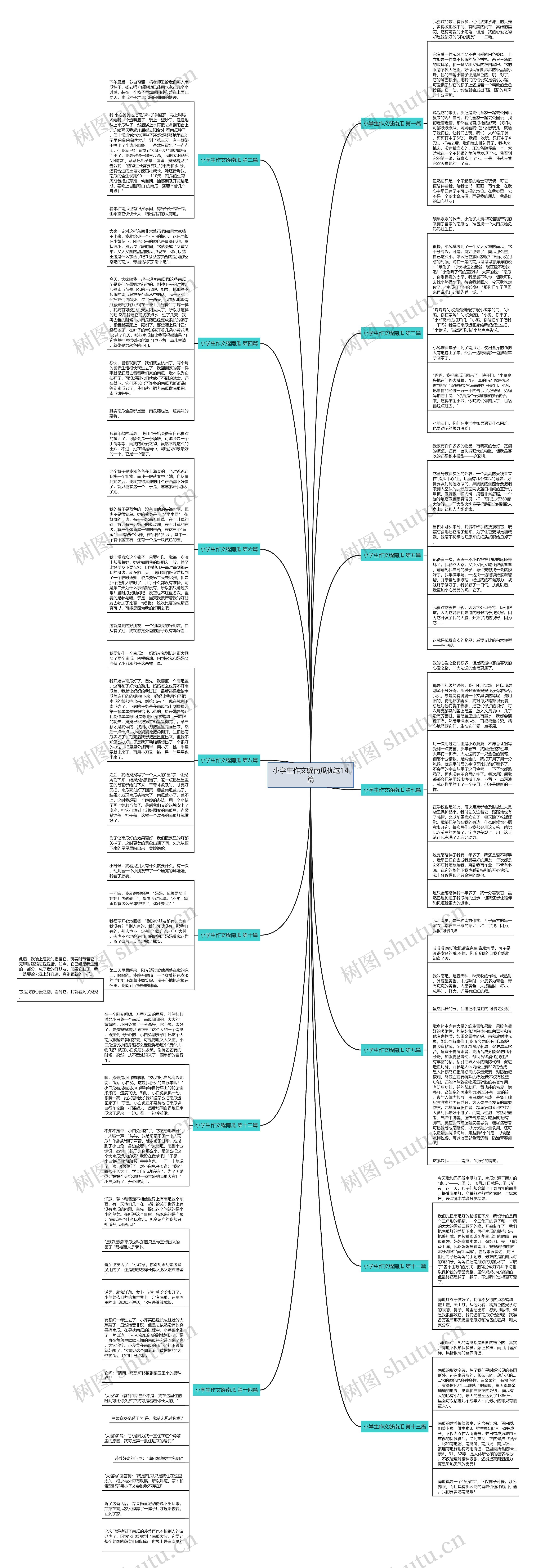 小学生作文缝南瓜优选14篇思维导图