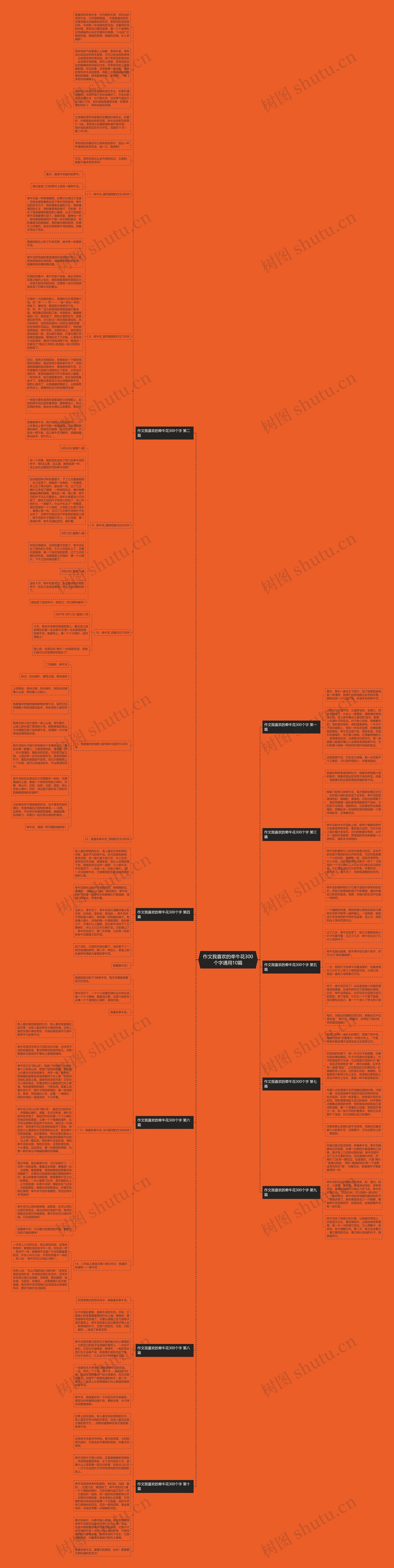 作文我喜欢的牵牛花300个字通用10篇思维导图