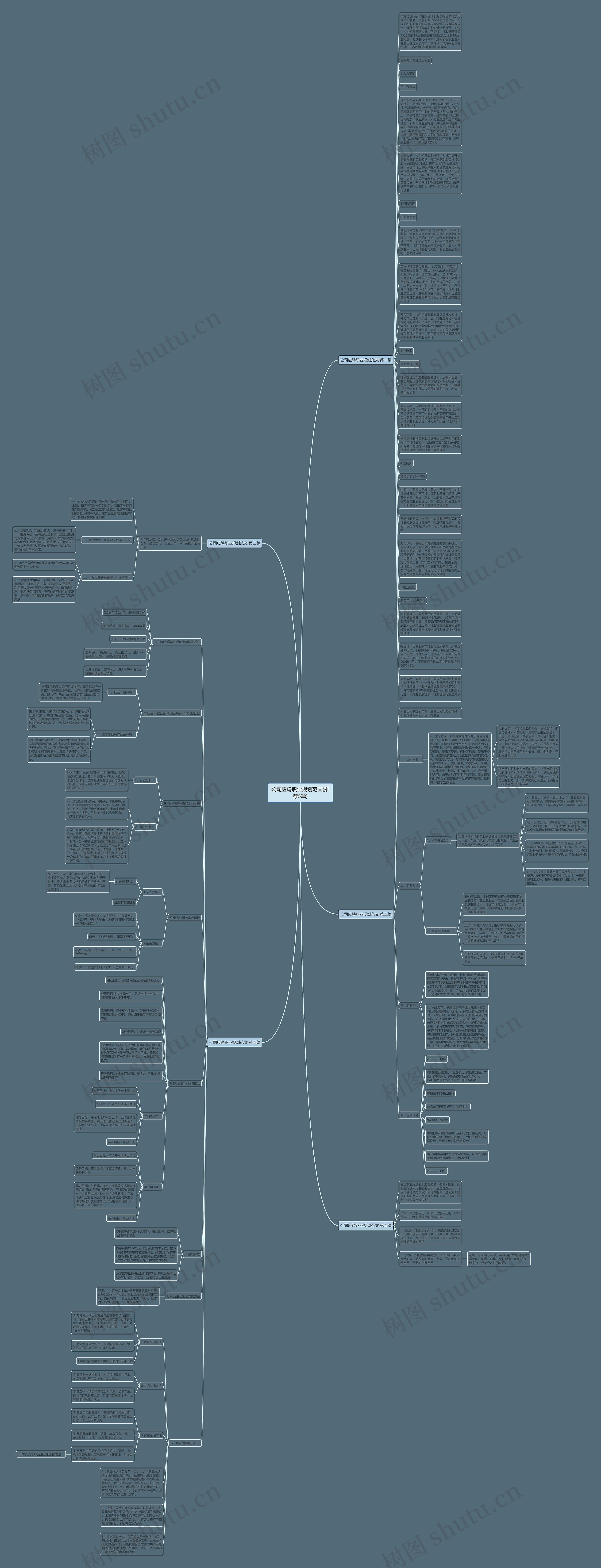 公司应聘职业规划范文(推荐5篇)思维导图