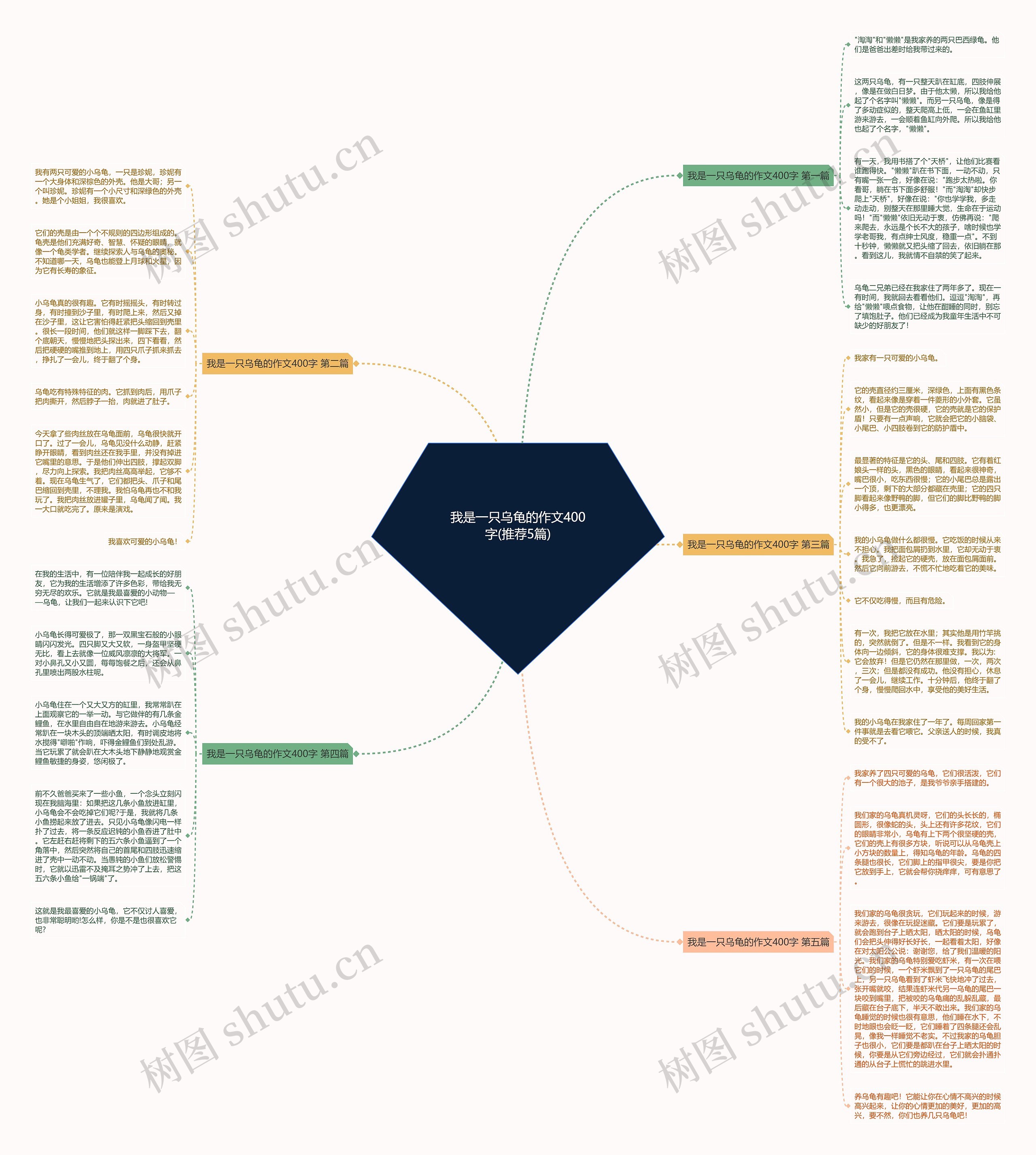 我是一只乌龟的作文400字(推荐5篇)思维导图