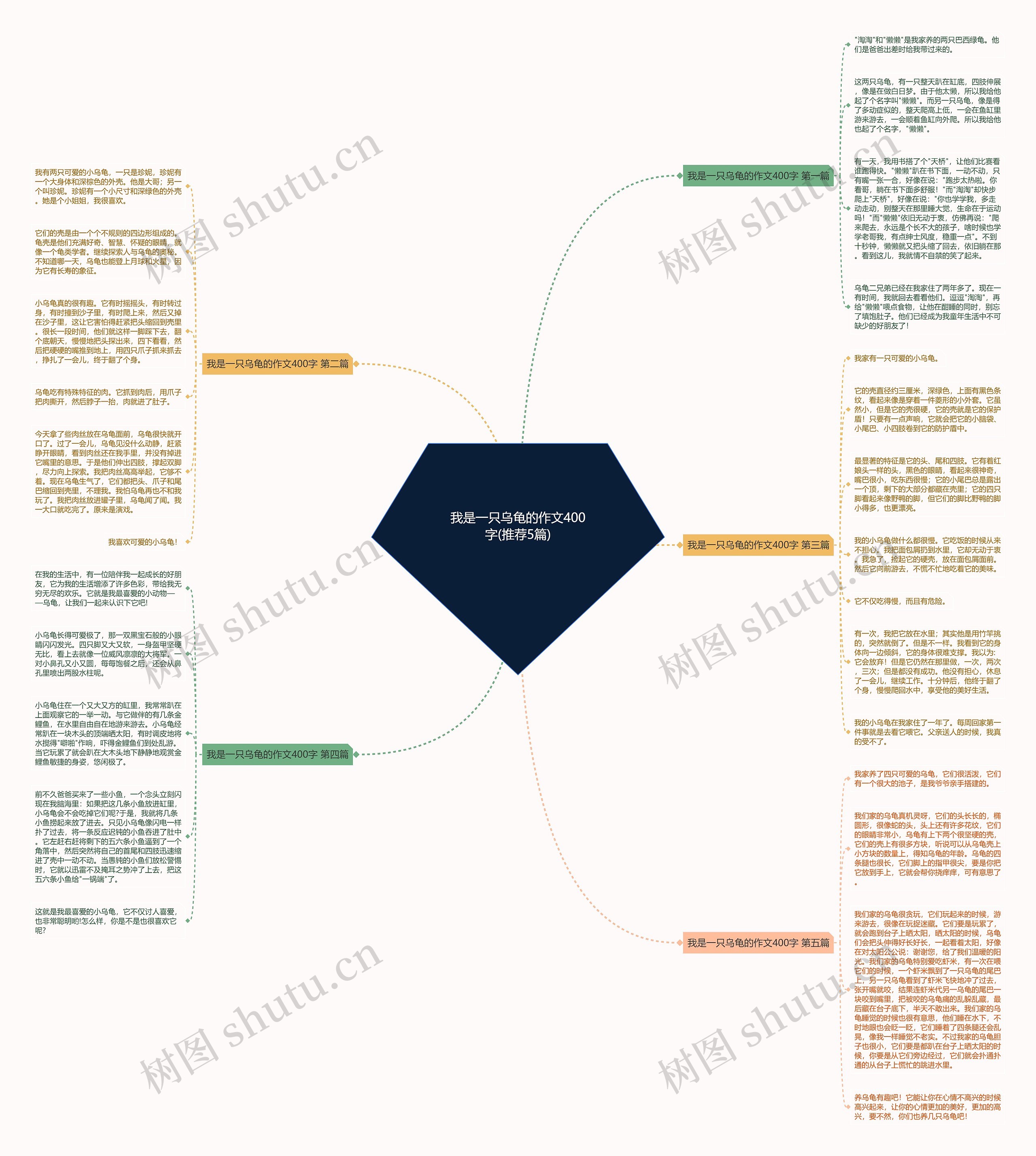 我是一只乌龟的作文400字(推荐5篇) 我是一只乌龟的作文400字(推荐5篇)