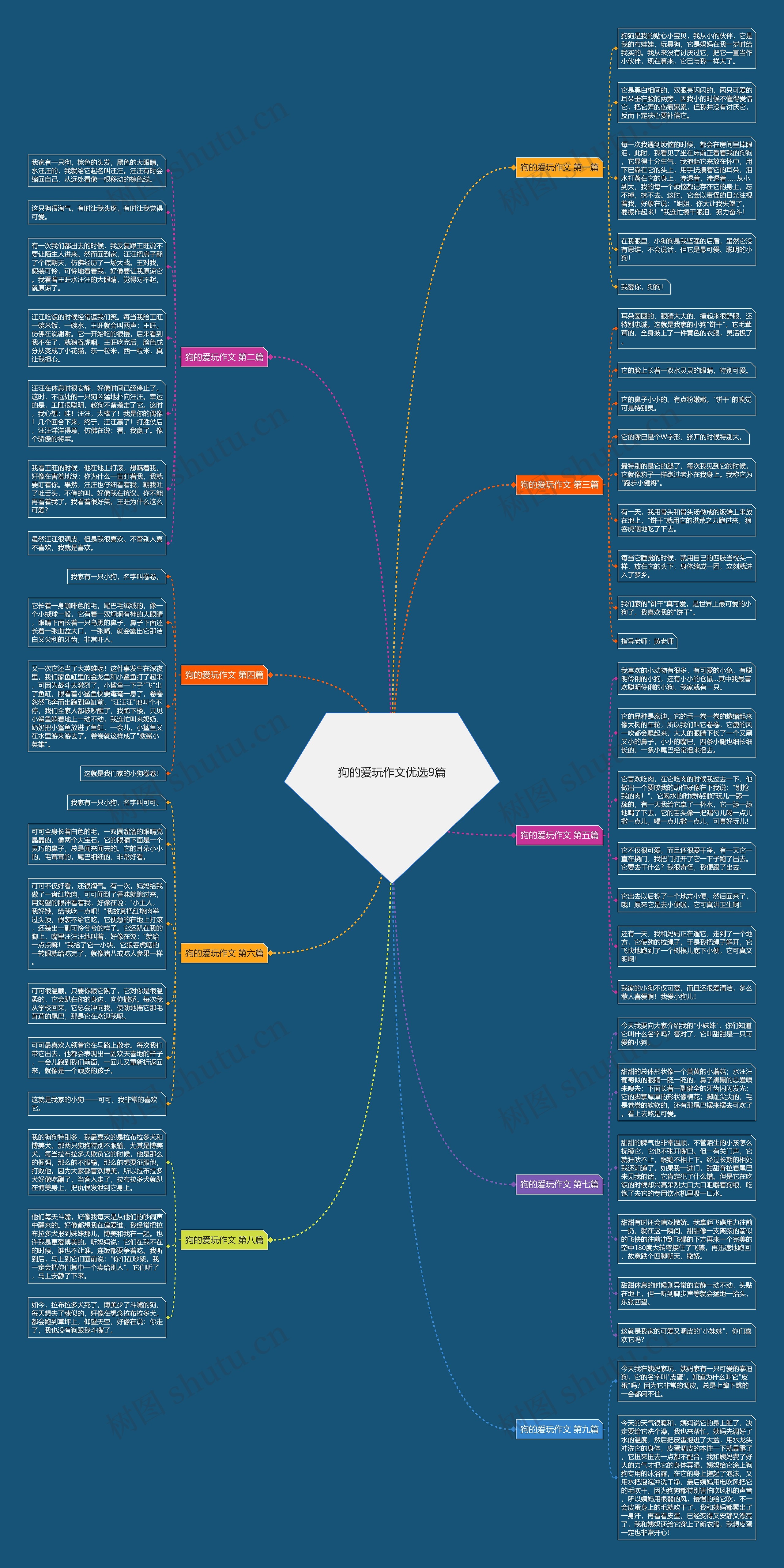 狗的爱玩作文优选9篇思维导图