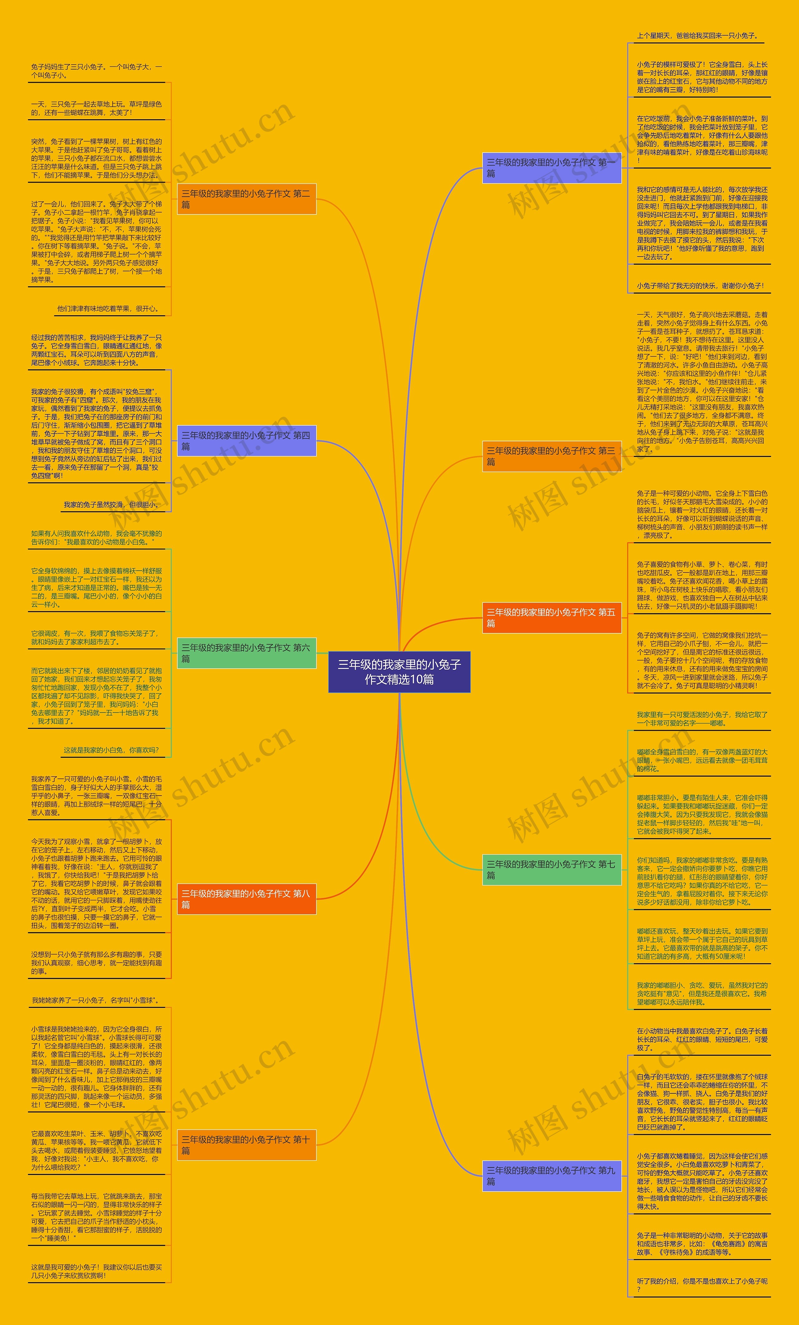 三年级的我家里的小兔子作文精选10篇思维导图