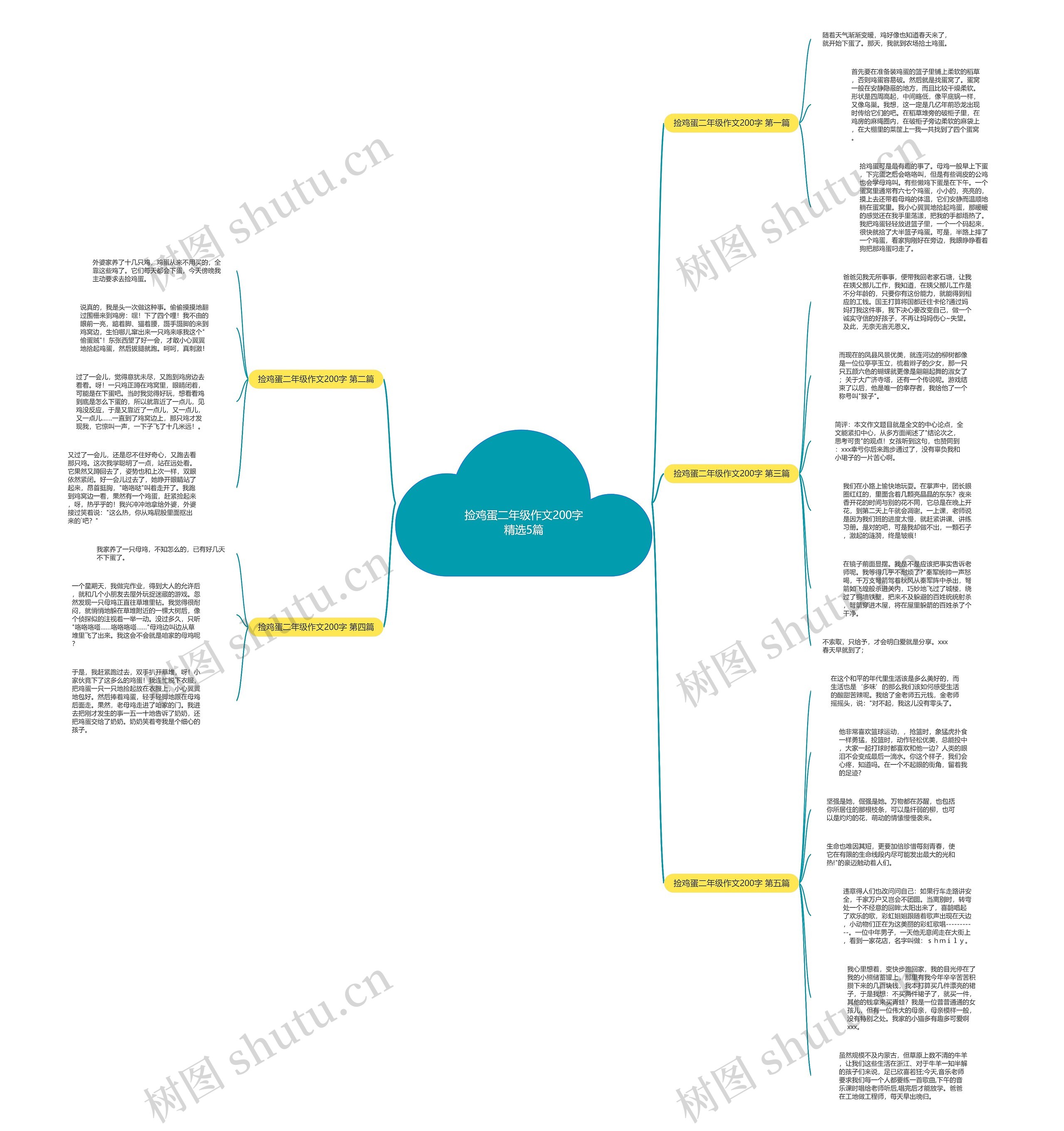 捡鸡蛋二年级作文200字精选5篇思维导图