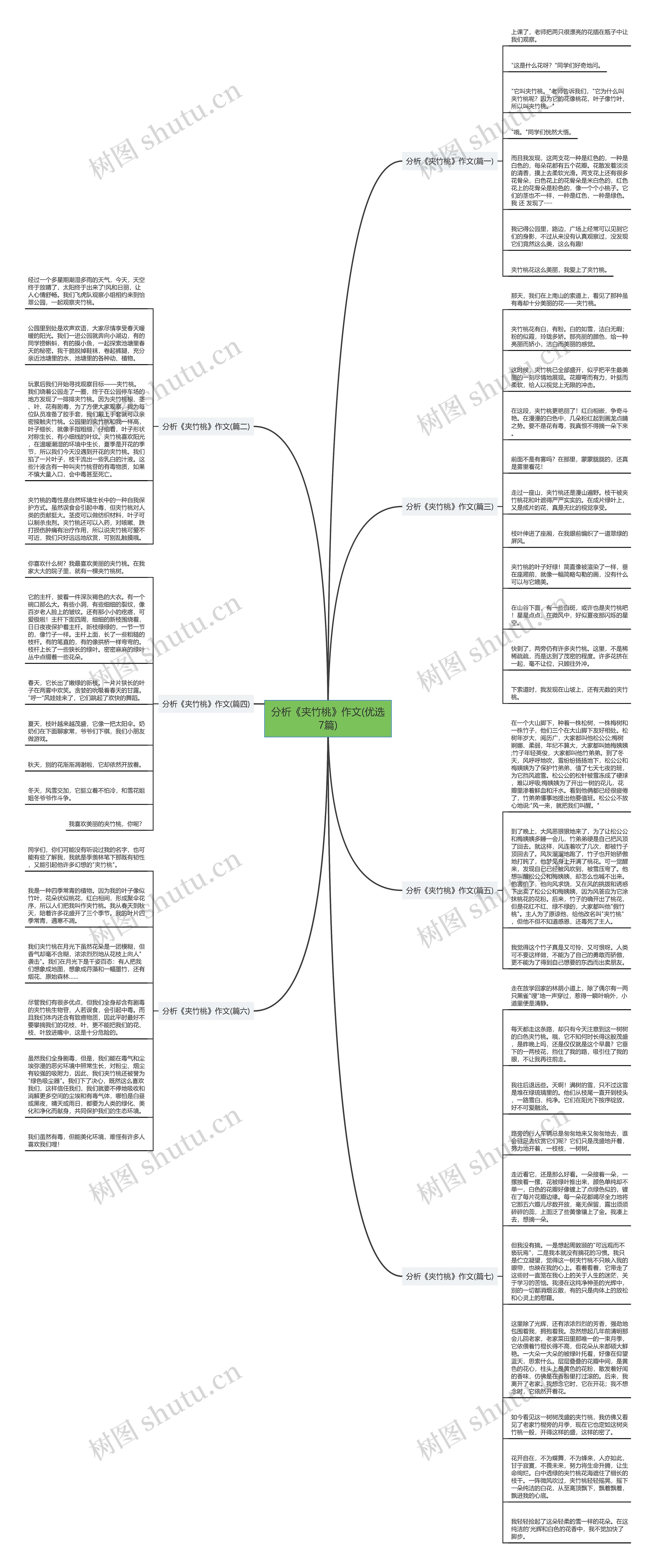 分析《夹竹桃》作文(优选7篇)思维导图