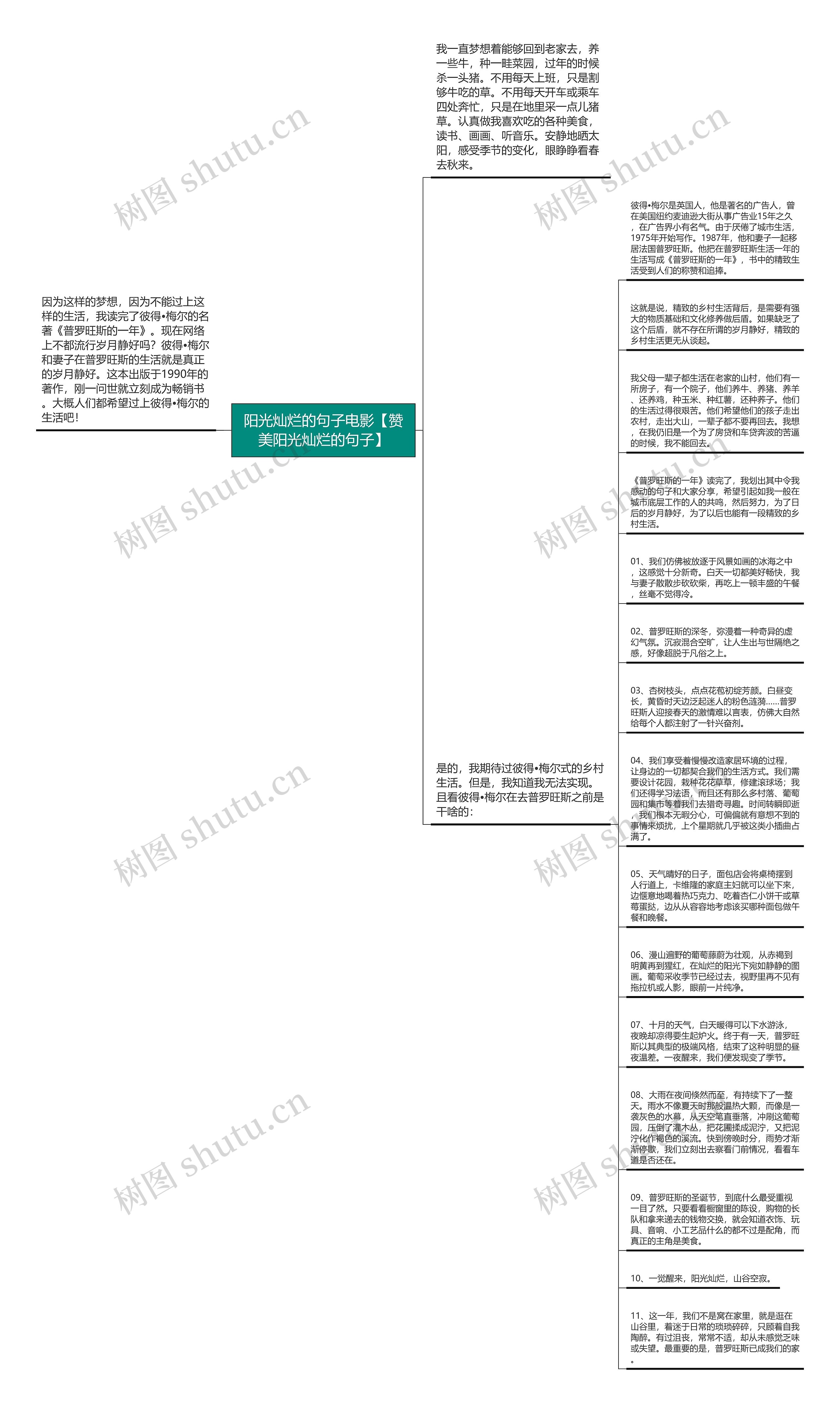 阳光灿烂的句子电影【赞美阳光灿烂的句子】