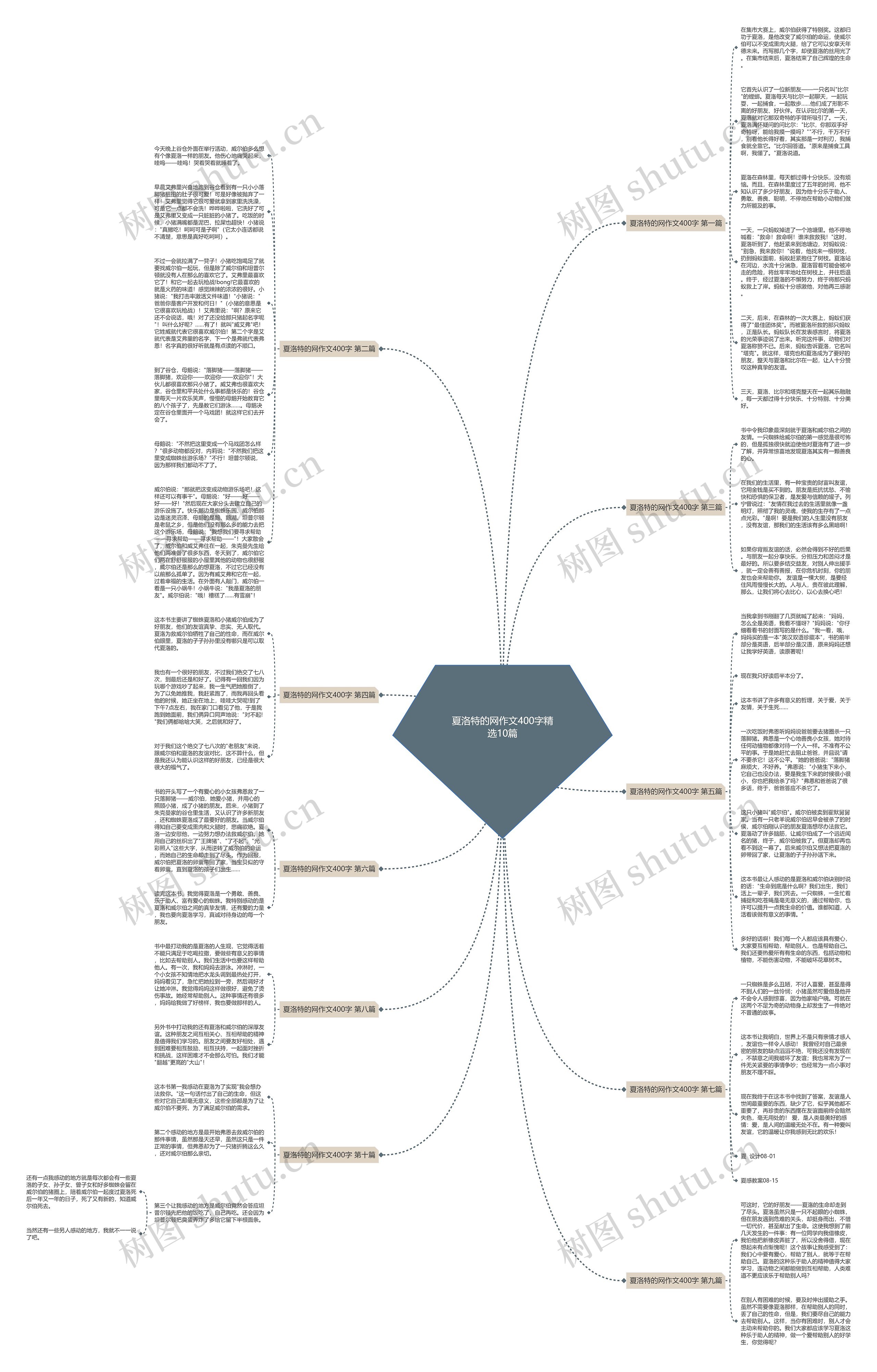 夏洛特的网作文400字精选10篇思维导图