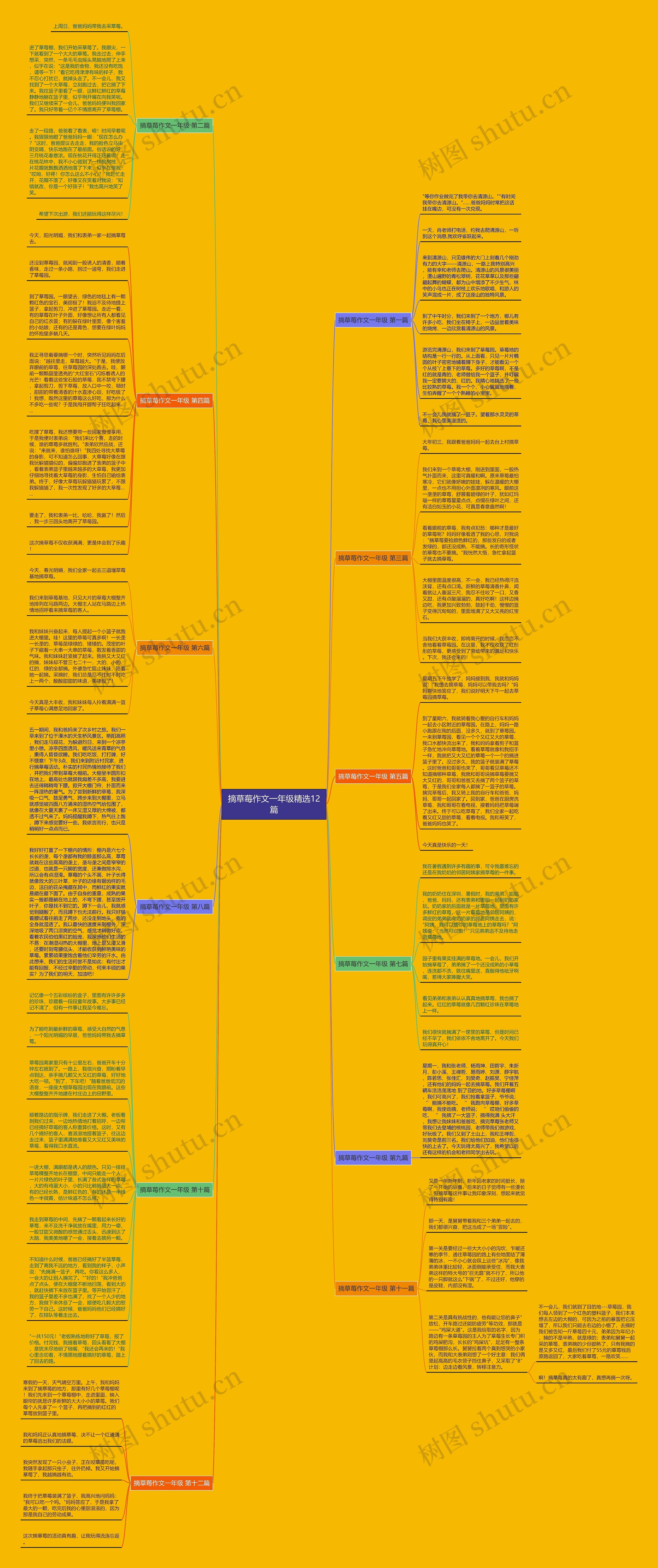 摘草莓作文一年级精选12篇思维导图