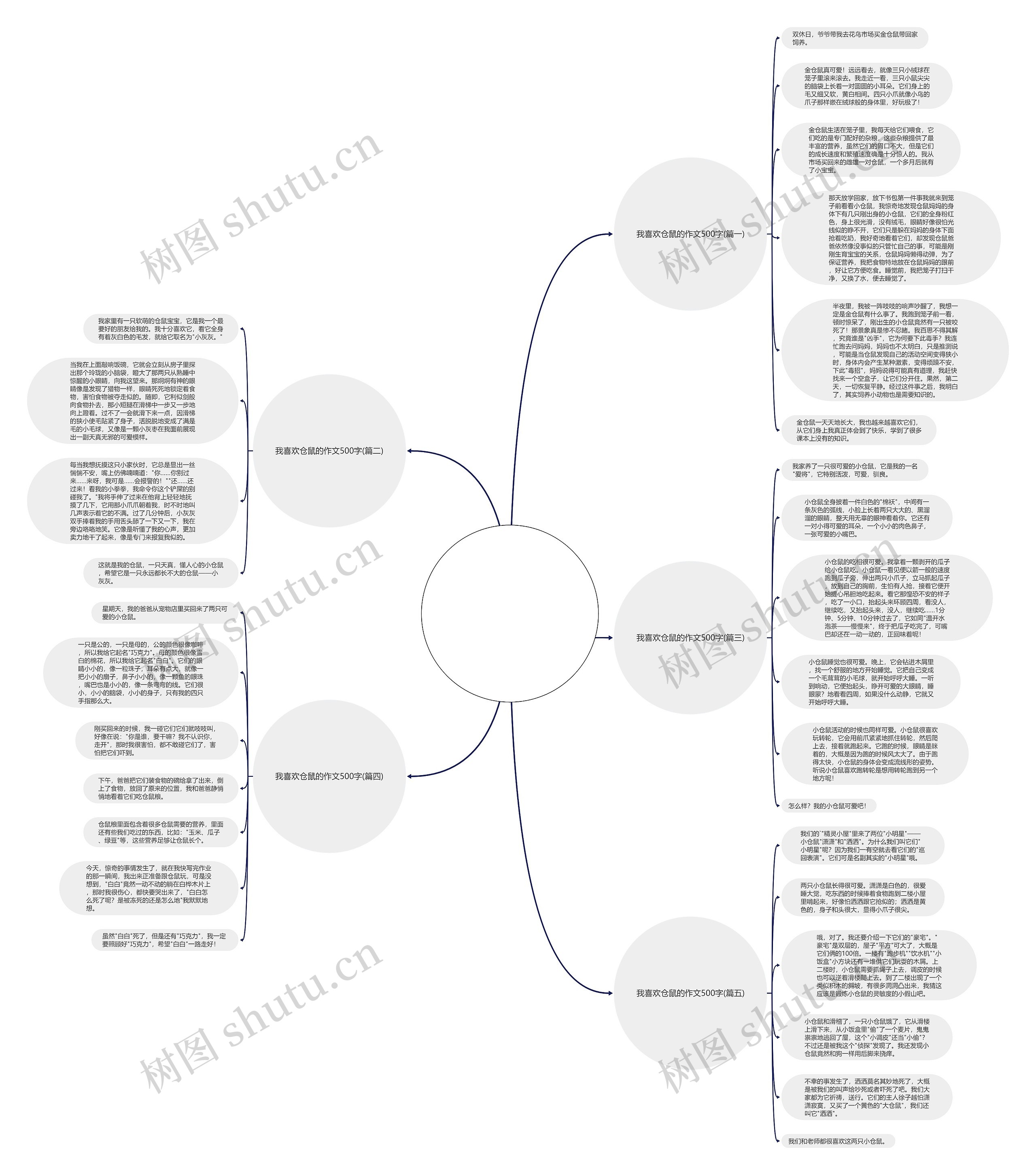 我喜欢仓鼠的作文500字(优选5篇)思维导图