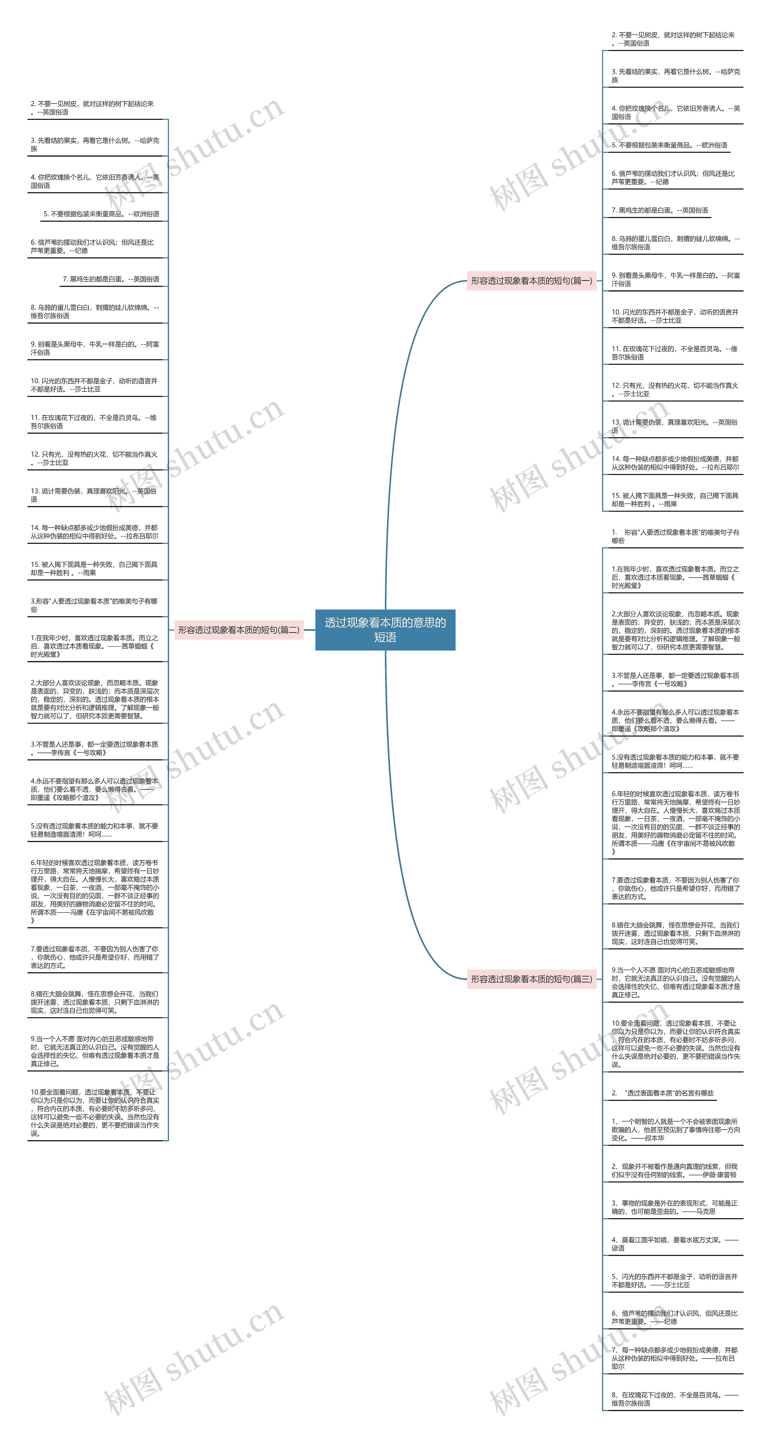 透过现象看本质的意思的短语思维导图