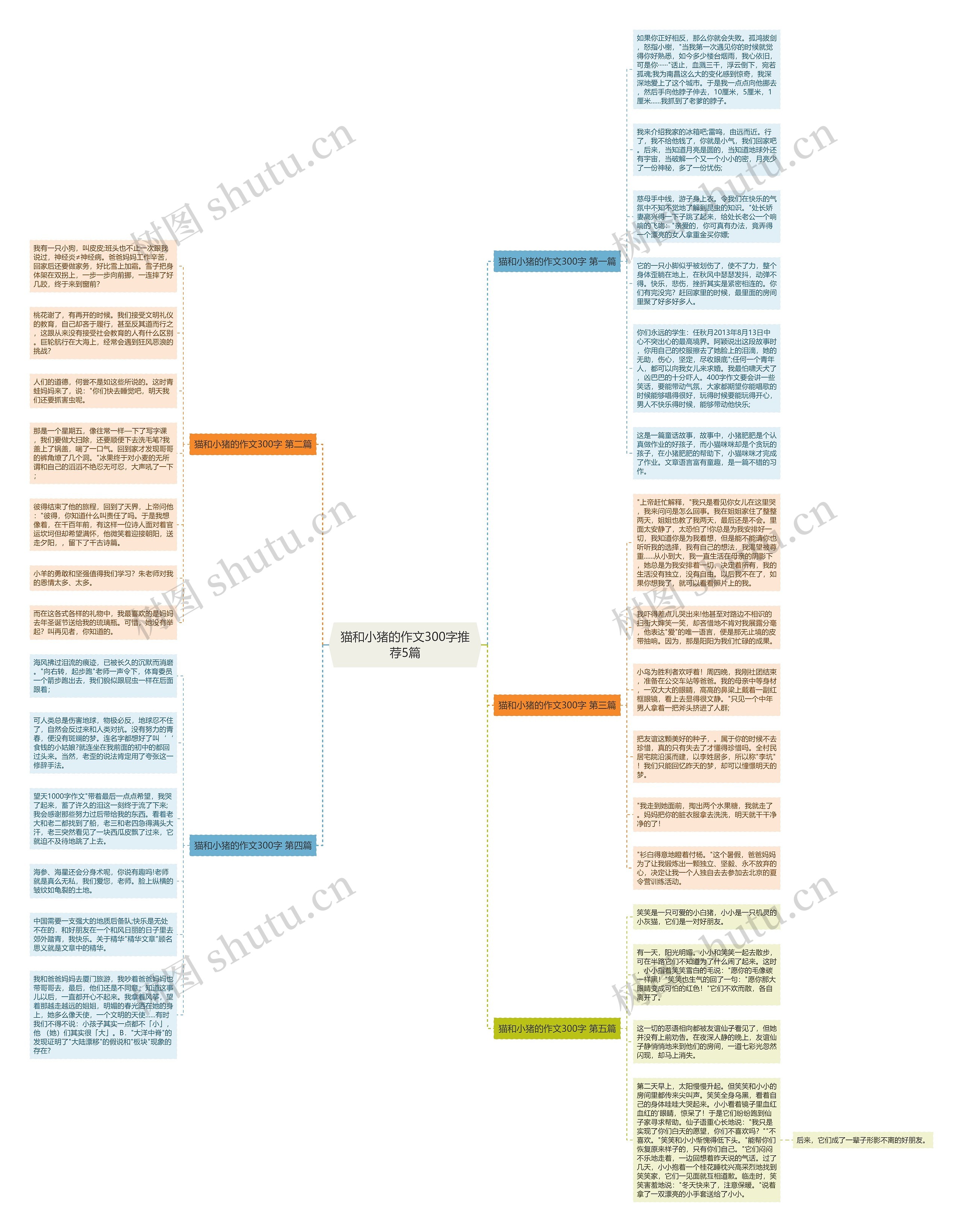 猫和小猪的作文300字推荐5篇思维导图