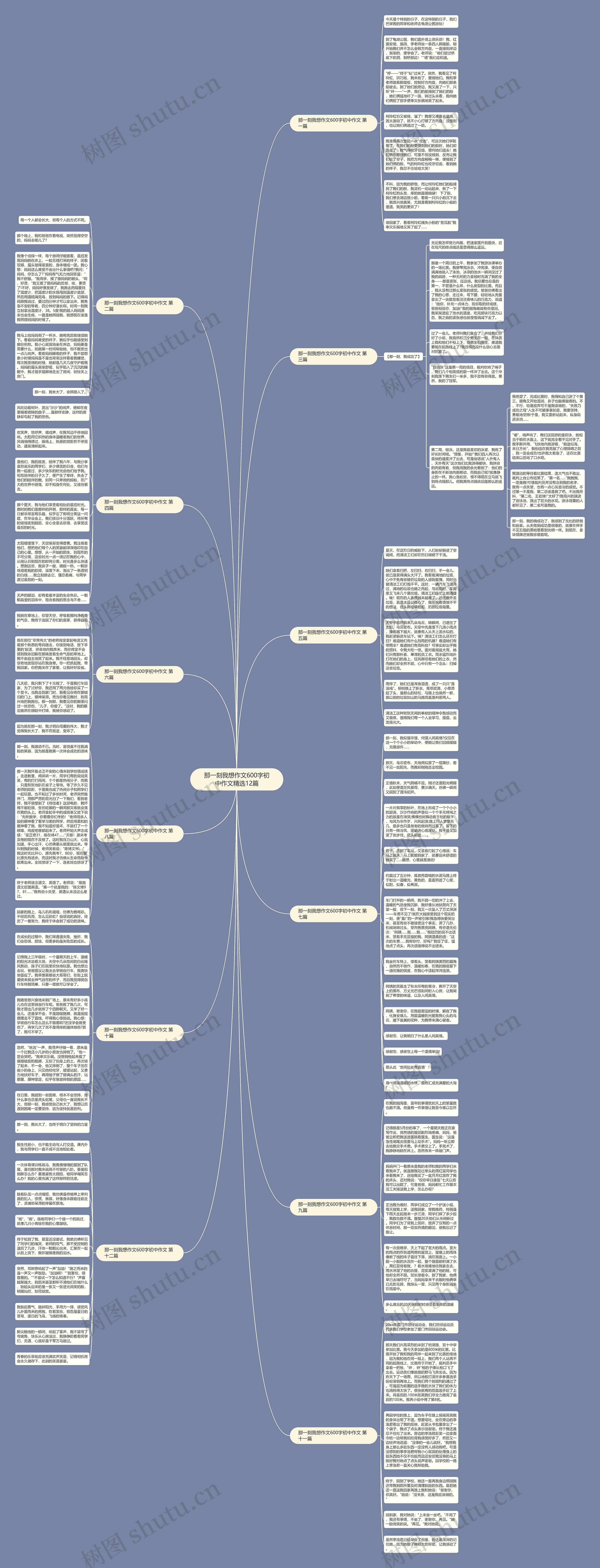 那一刻我想作文600字初中作文精选12篇思维导图高清图 那一刻我想作文600字初中作文精选12篇思维导图