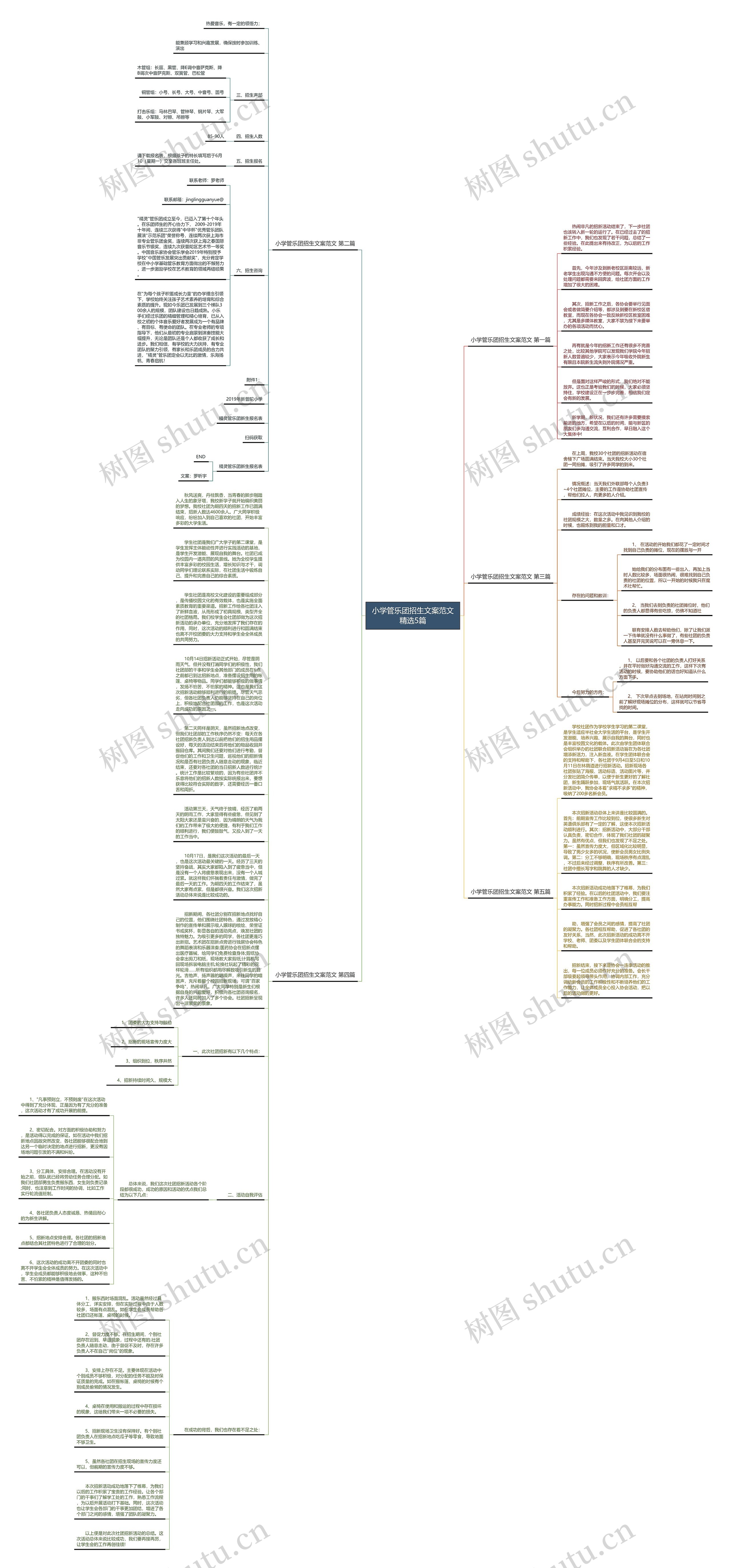 小学管乐团招生文案范文精选5篇思维导图