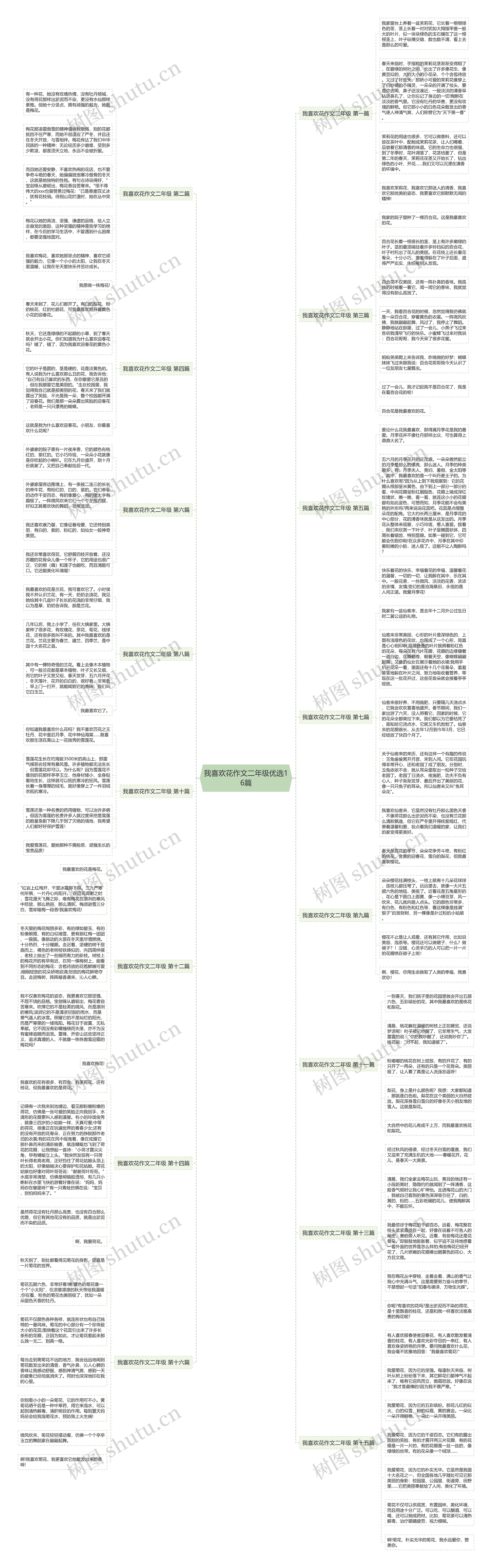 我喜欢花作文二年级优选16篇思维导图