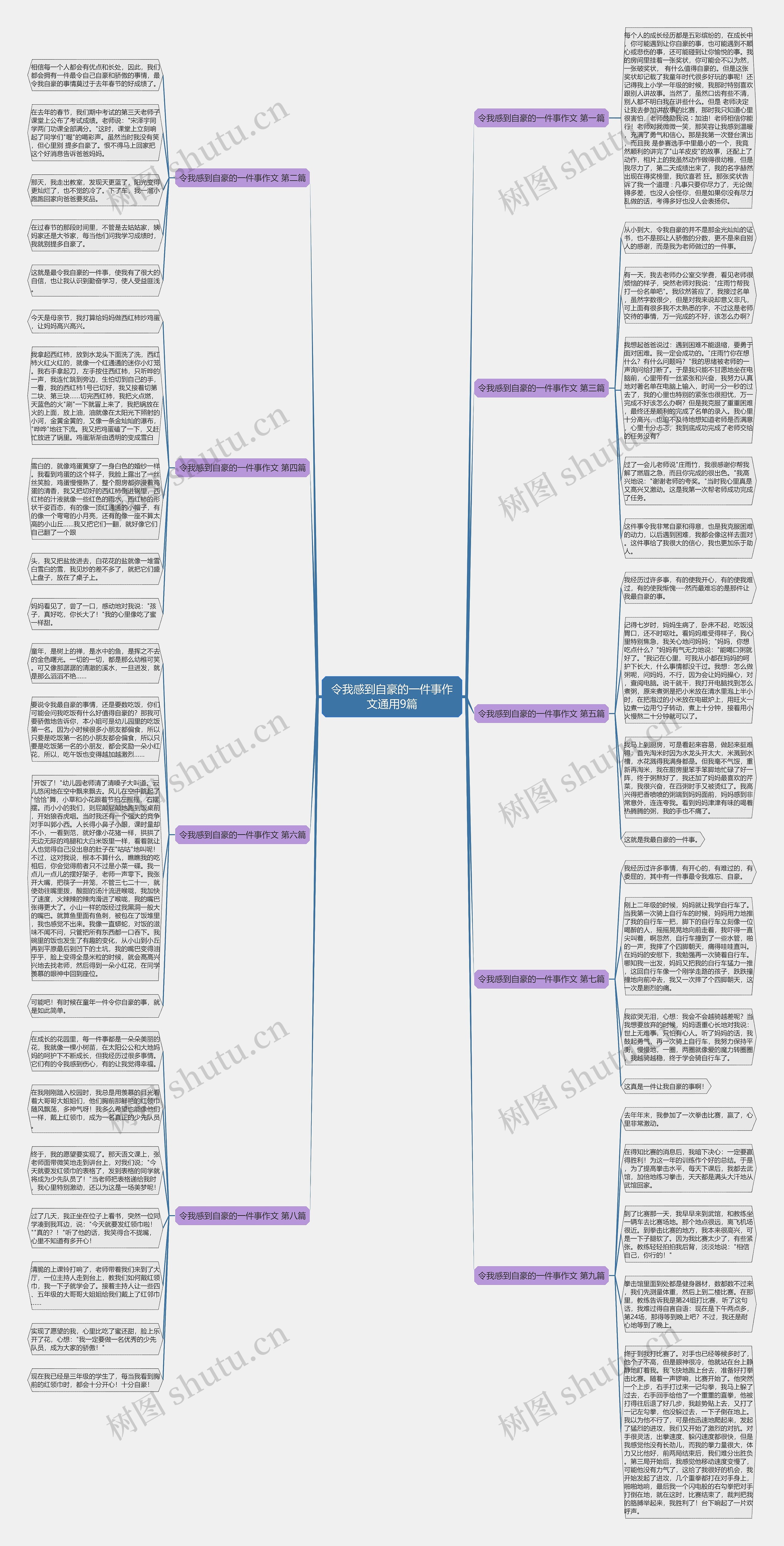 令我感到自豪的一件事作文通用9篇思维导图