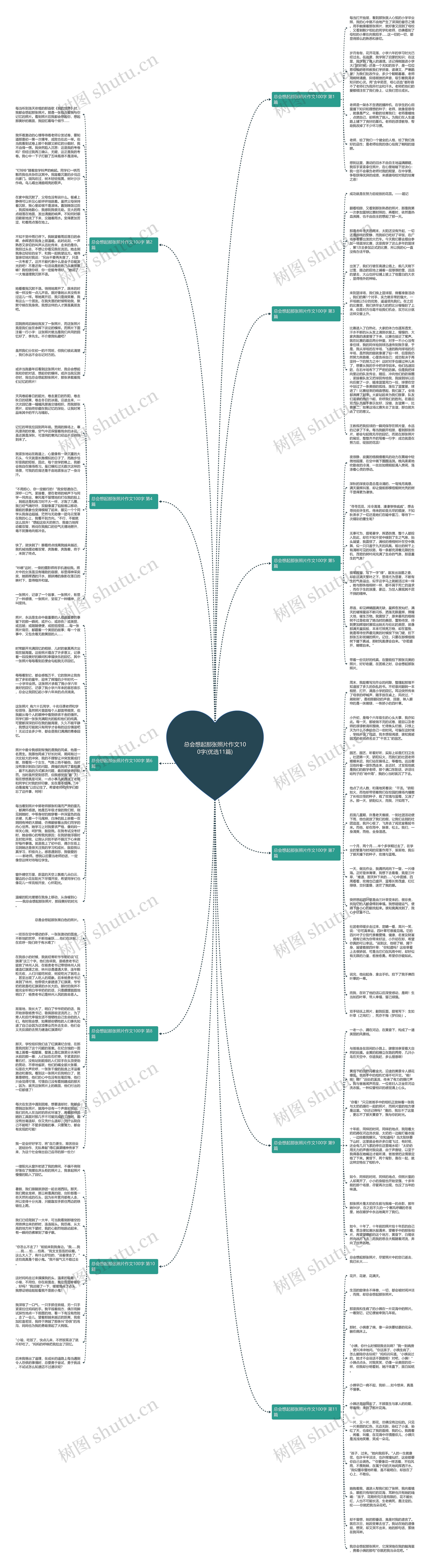 总会想起那张照片作文100字(优选11篇)思维导图