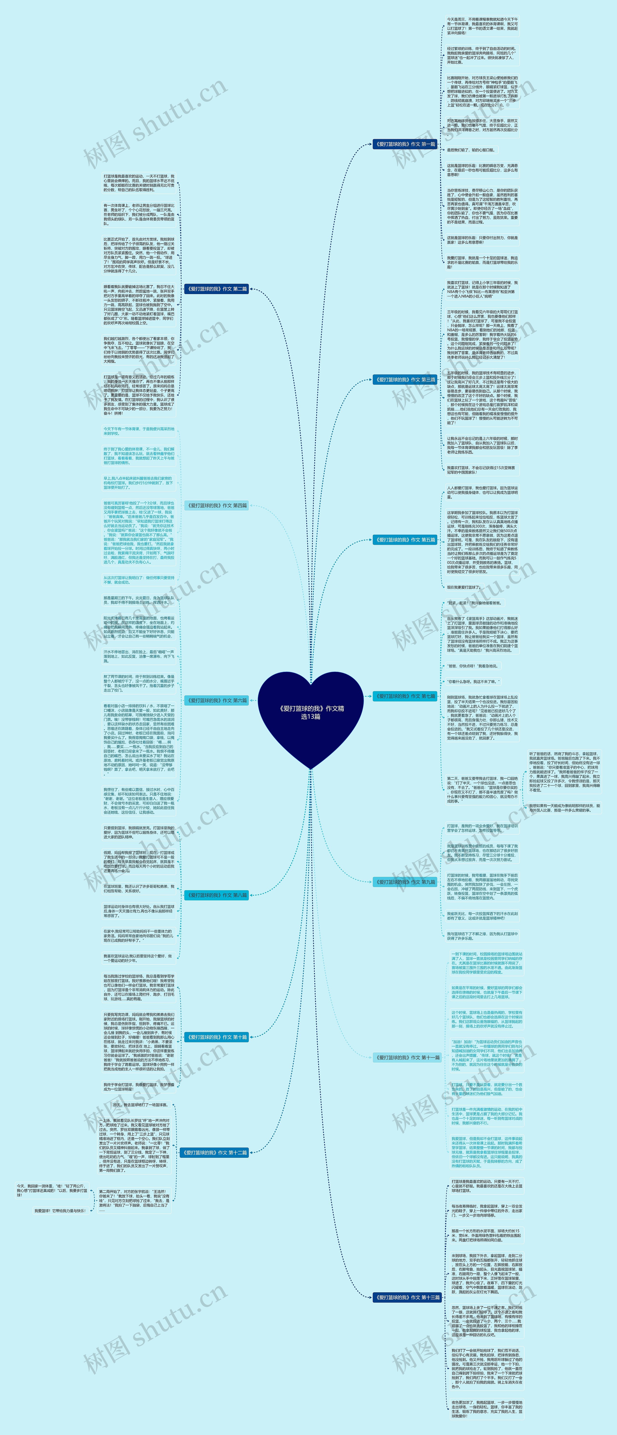 《爱打篮球的我》作文精选13篇思维导图