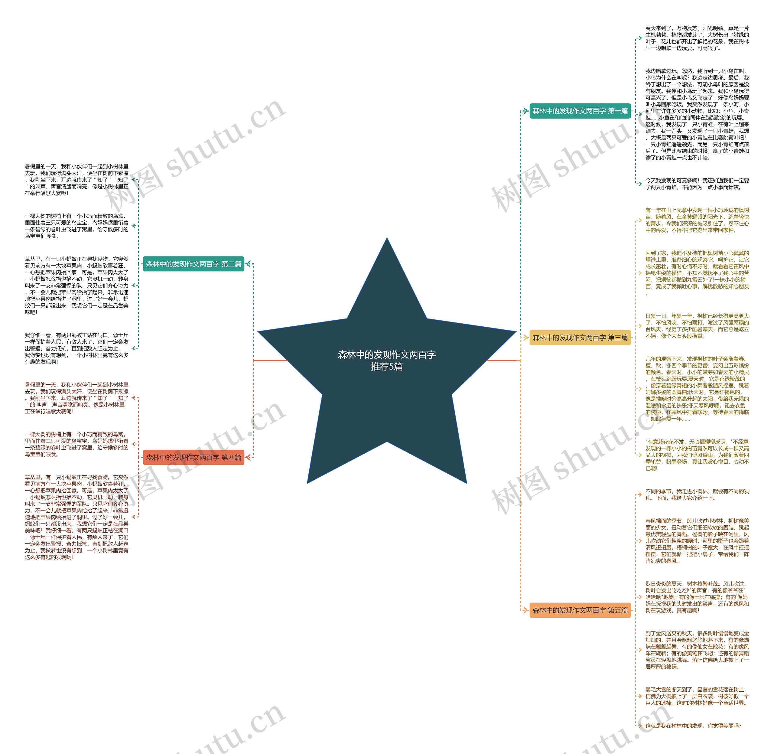 森林中的发现作文两百字推荐5篇思维导图