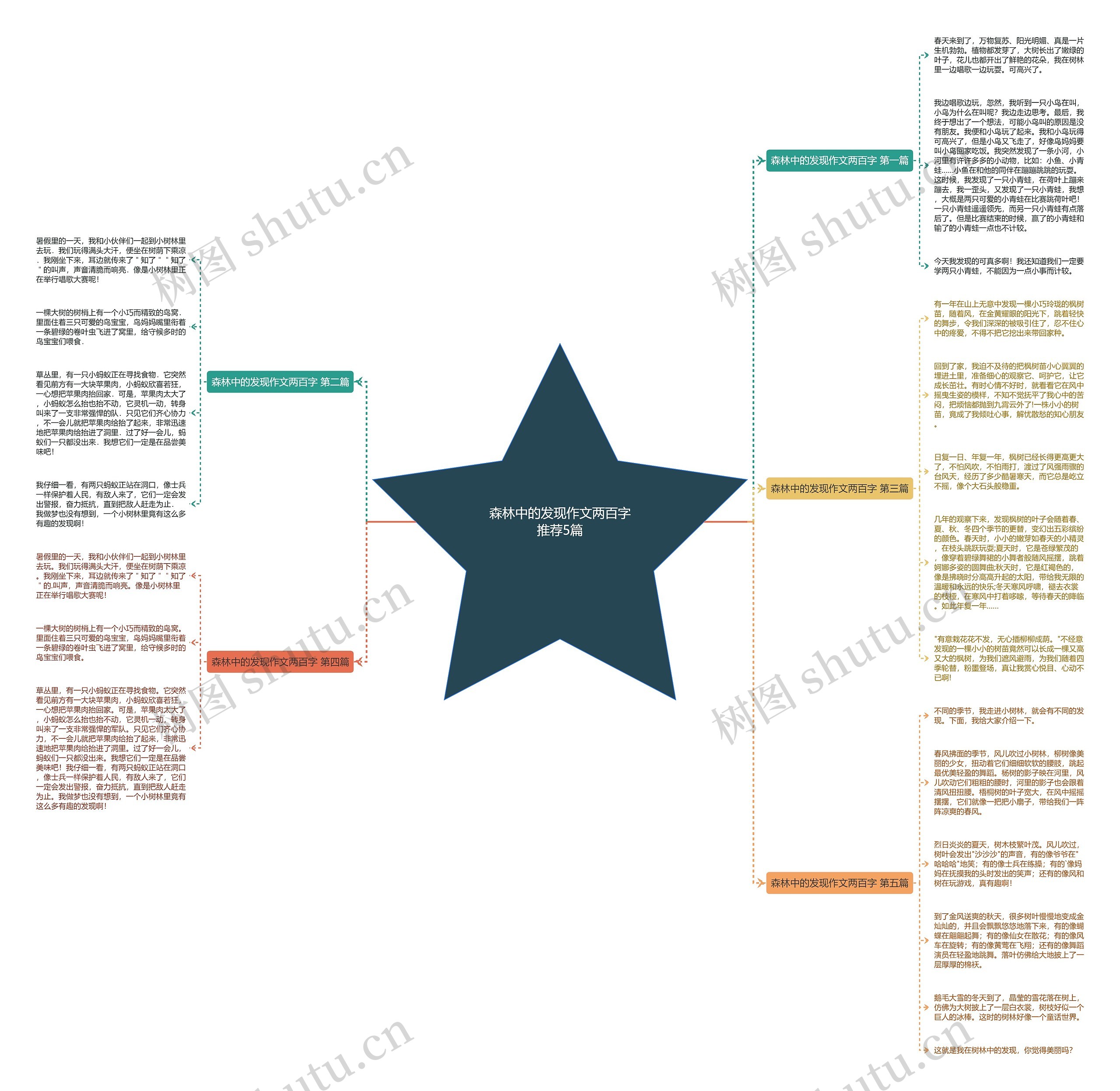 森林中的发现作文两百字推荐5篇 森林中的发现作文两百字推荐5篇