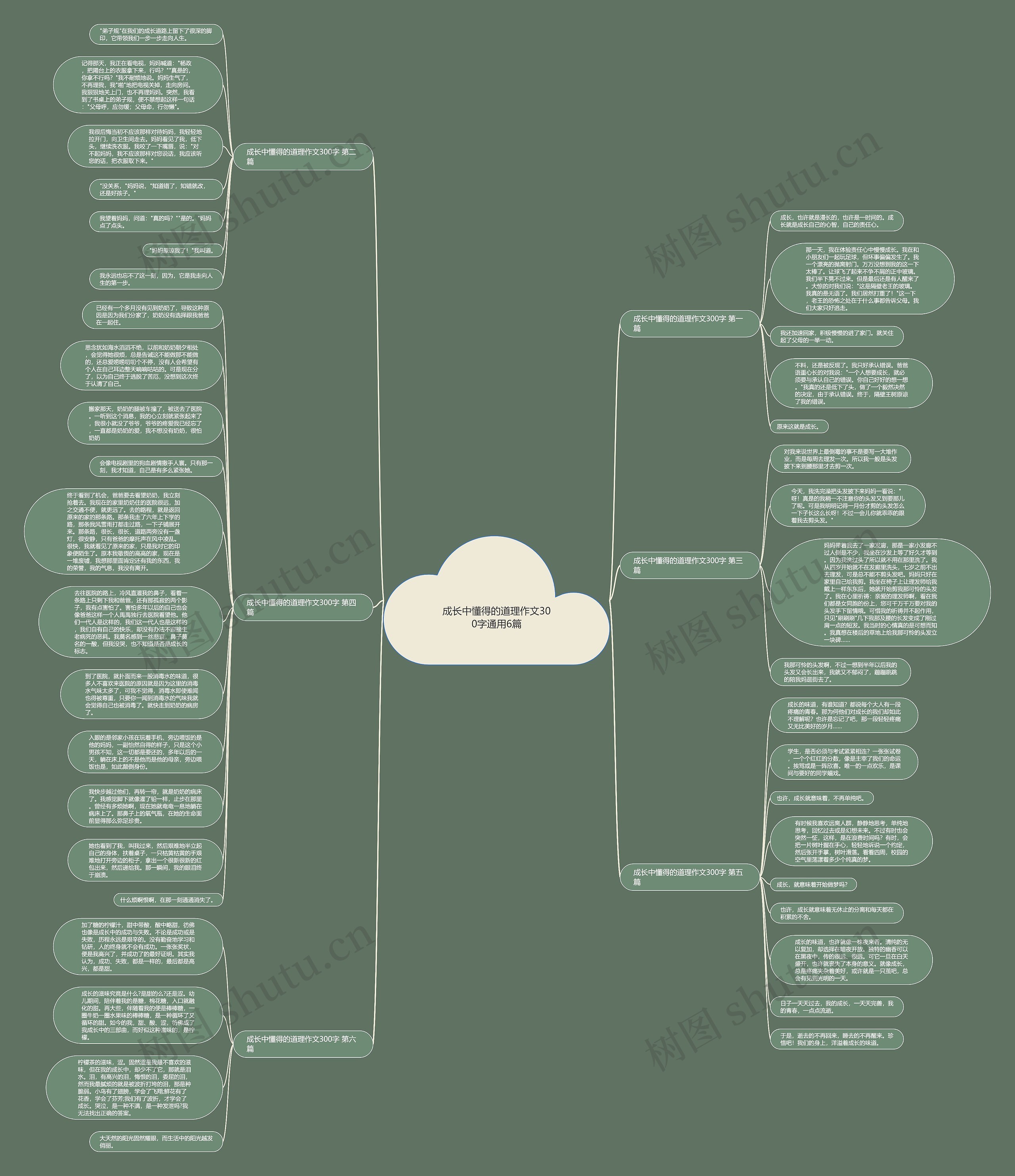成长中懂得的道理作文300字通用6篇思维导图