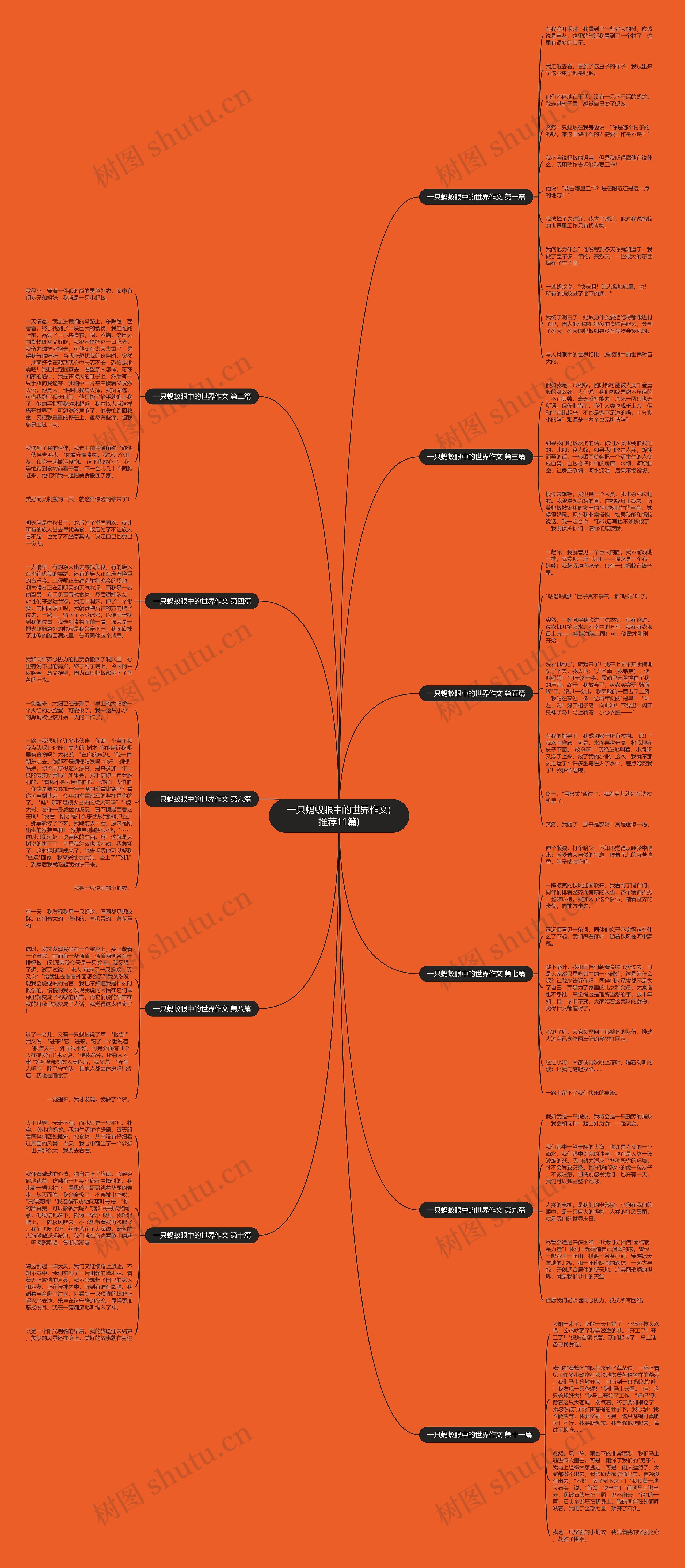 一只蚂蚁眼中的世界作文(推荐11篇)思维导图