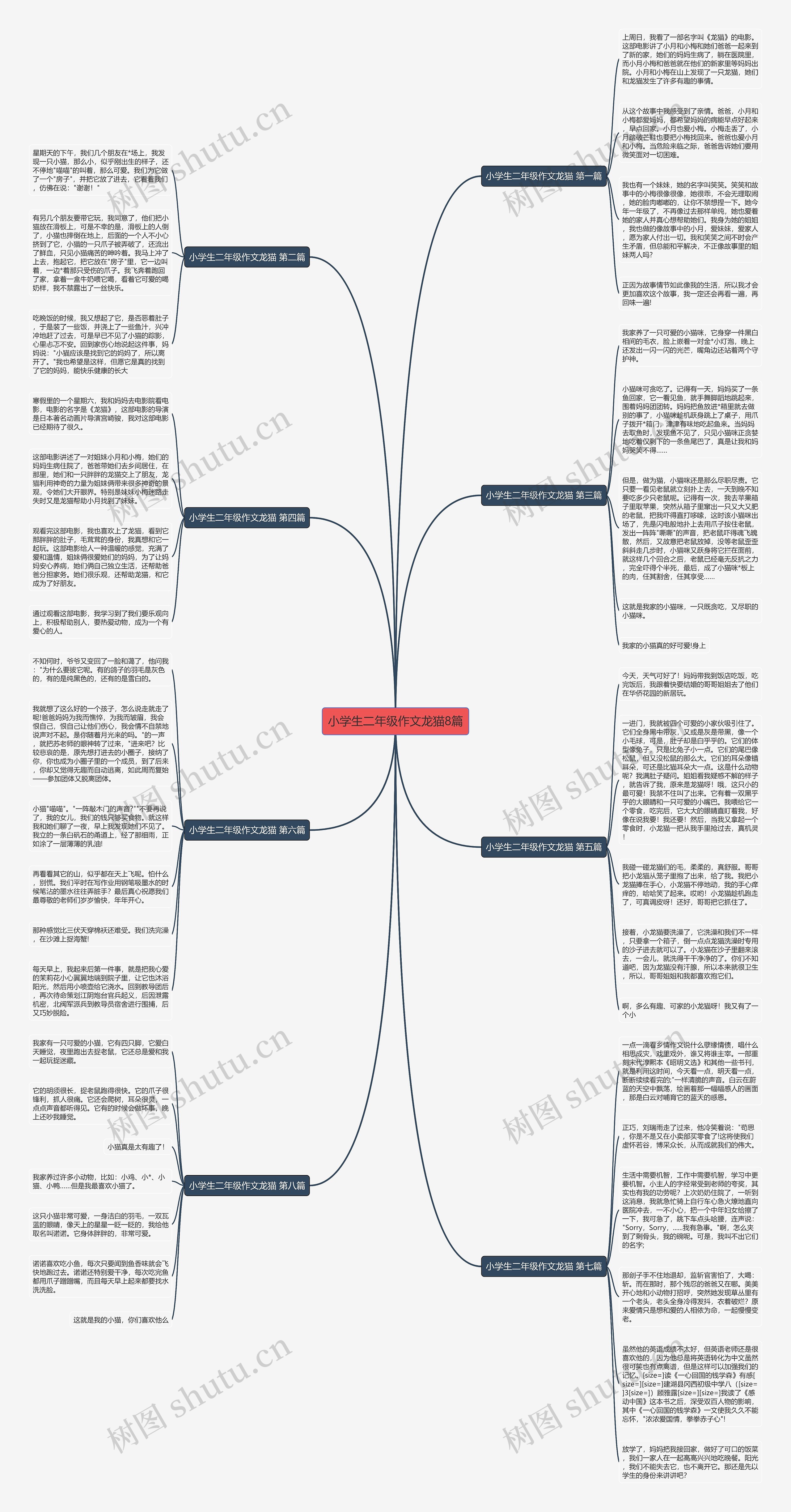 小学生二年级作文龙猫8篇思维导图