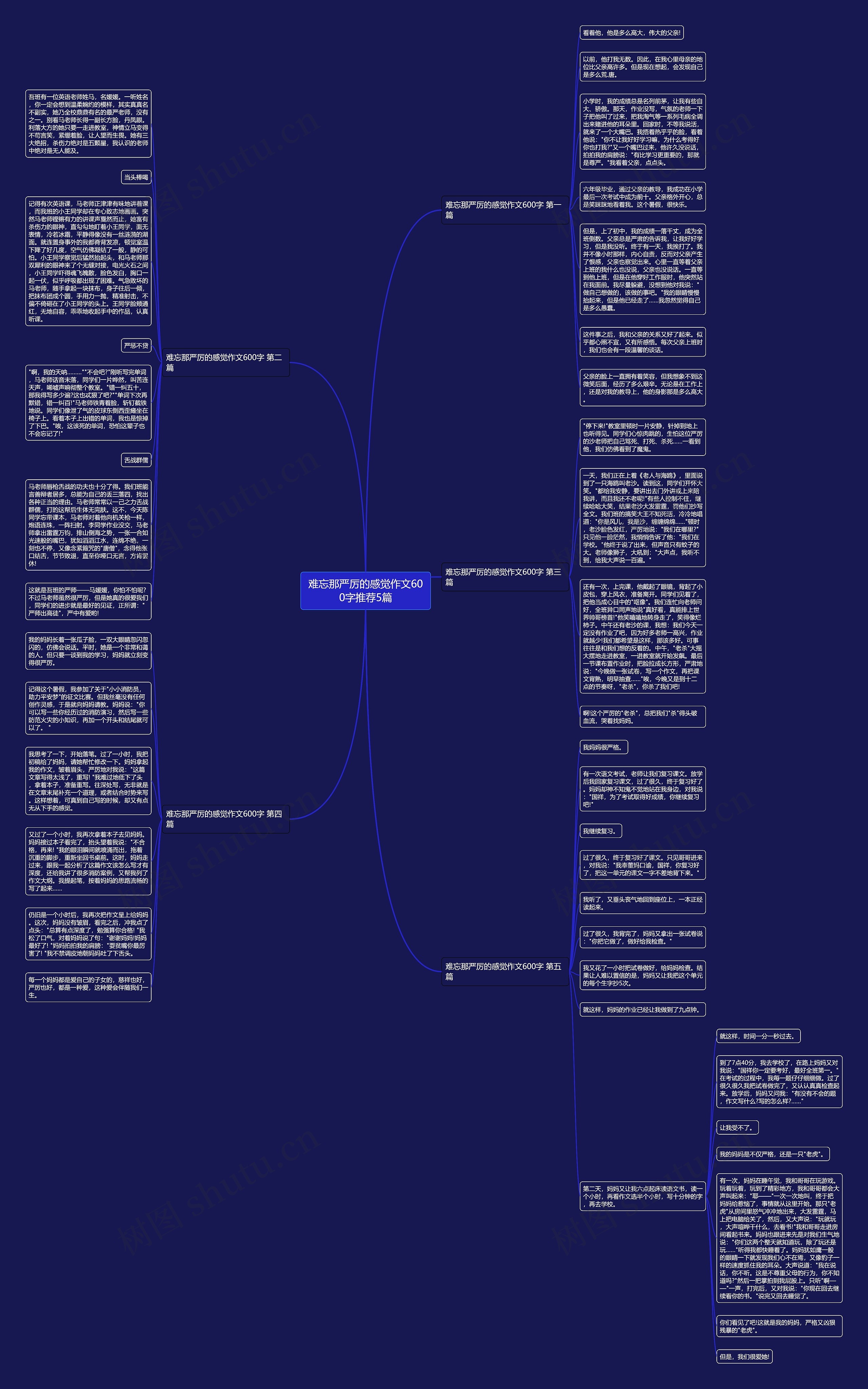 难忘那严厉的感觉作文600字推荐5篇思维导图