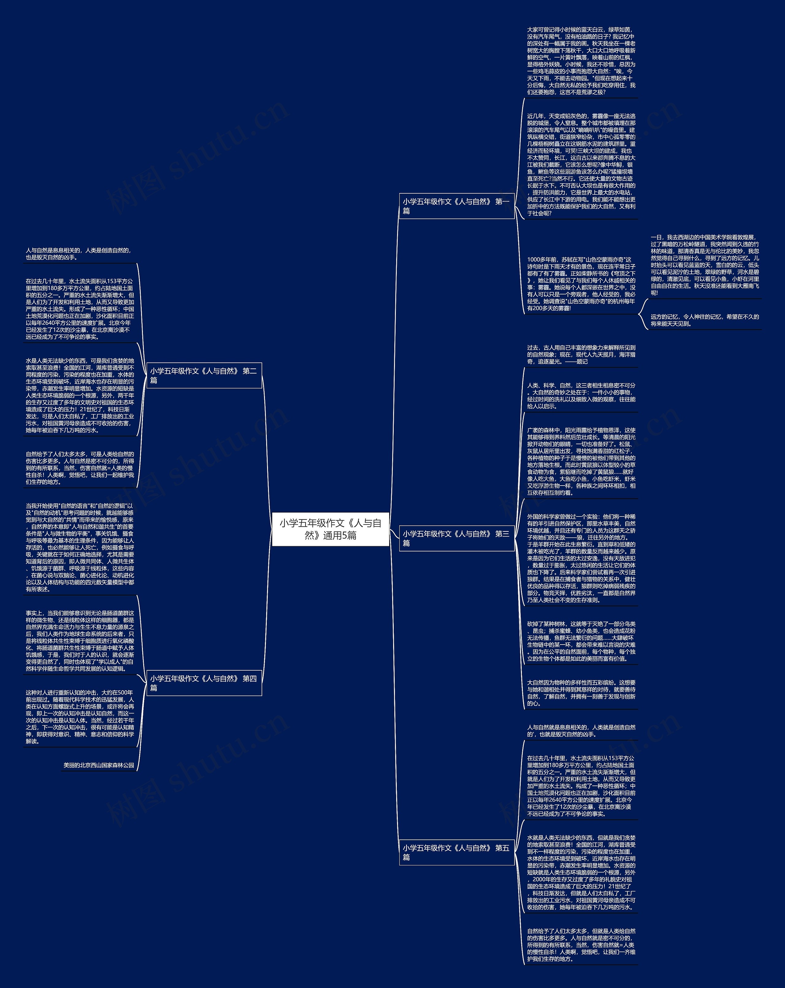 小学五年级作文《人与自然》通用5篇思维导图