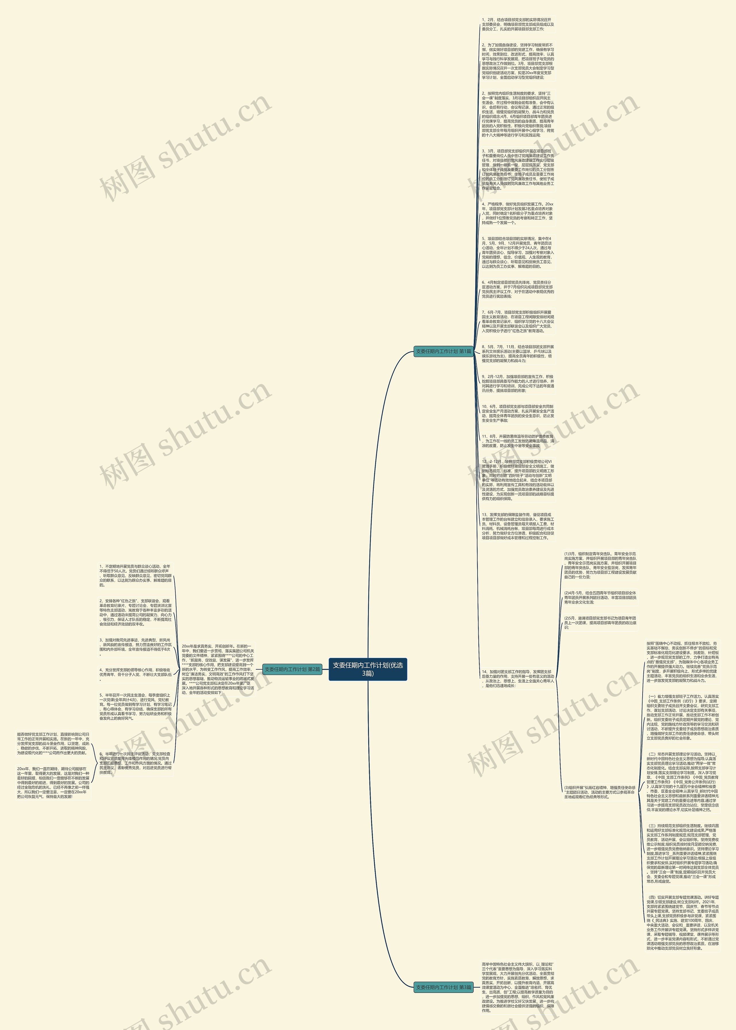 支委任期内工作计划(优选3篇)思维导图