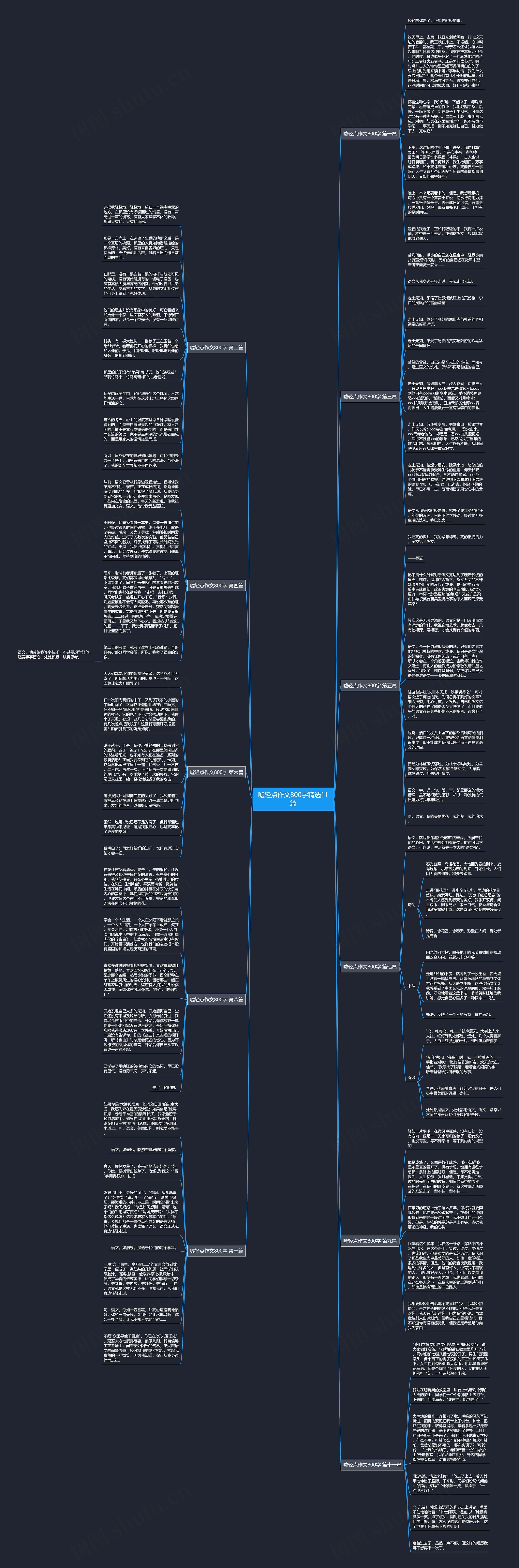嘘轻点作文800字精选11篇思维导图