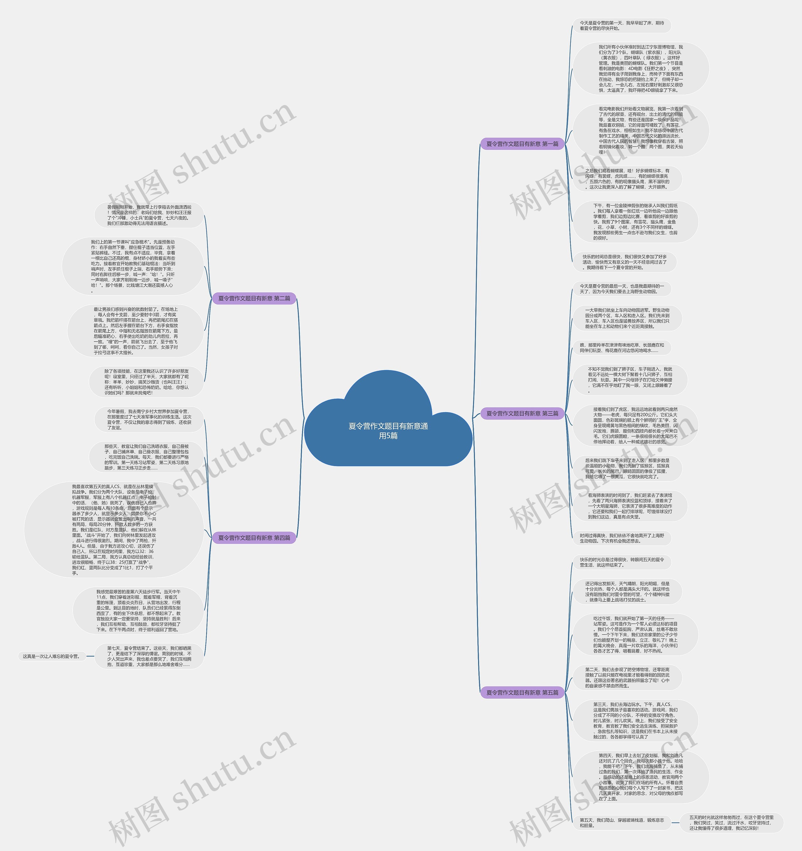 夏令营作文题目有新意通用5篇思维导图