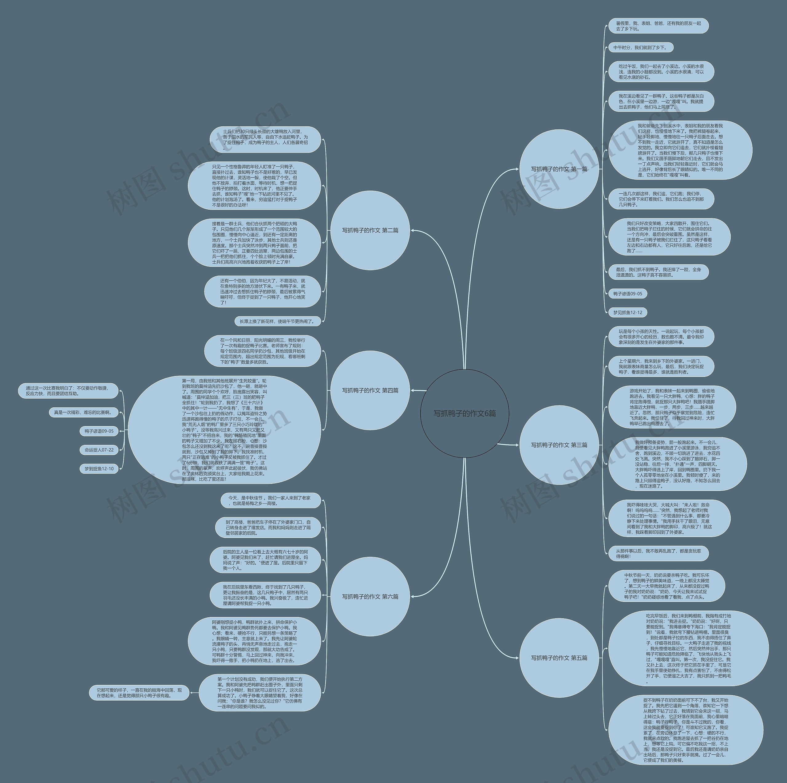写抓鸭子的作文6篇思维导图