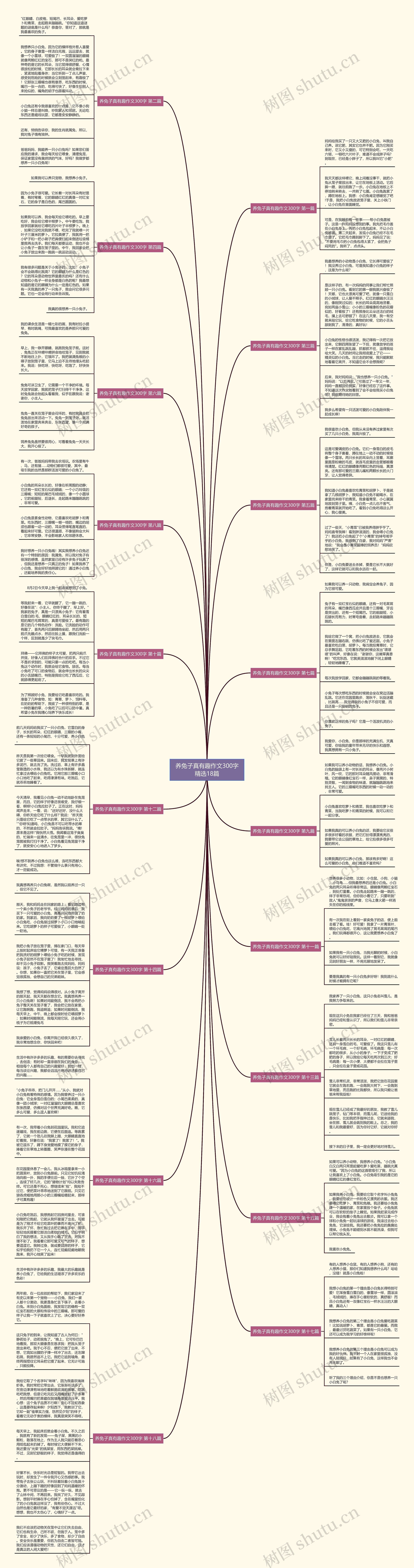 养兔子真有趣作文300字精选18篇思维导图
