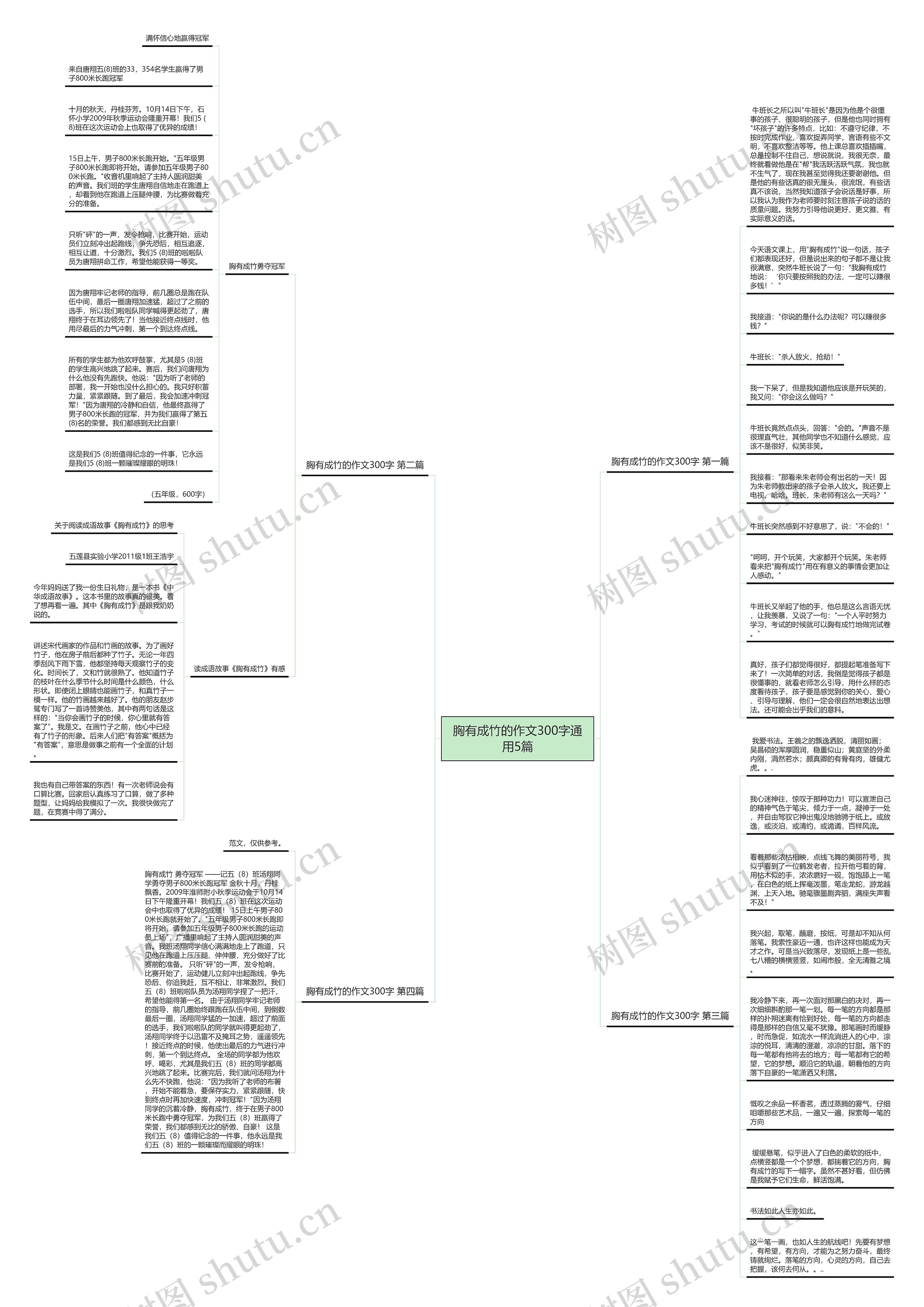 胸有成竹的作文300字通用5篇思维导图