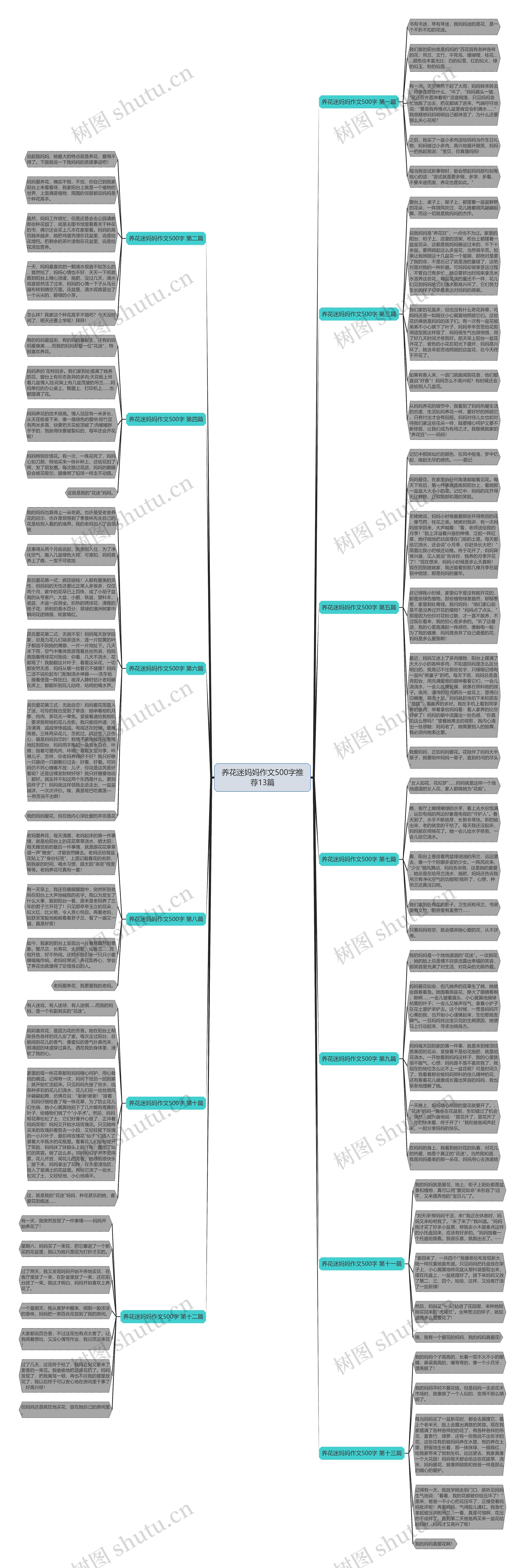 养花迷妈妈作文500字推荐13篇思维导图