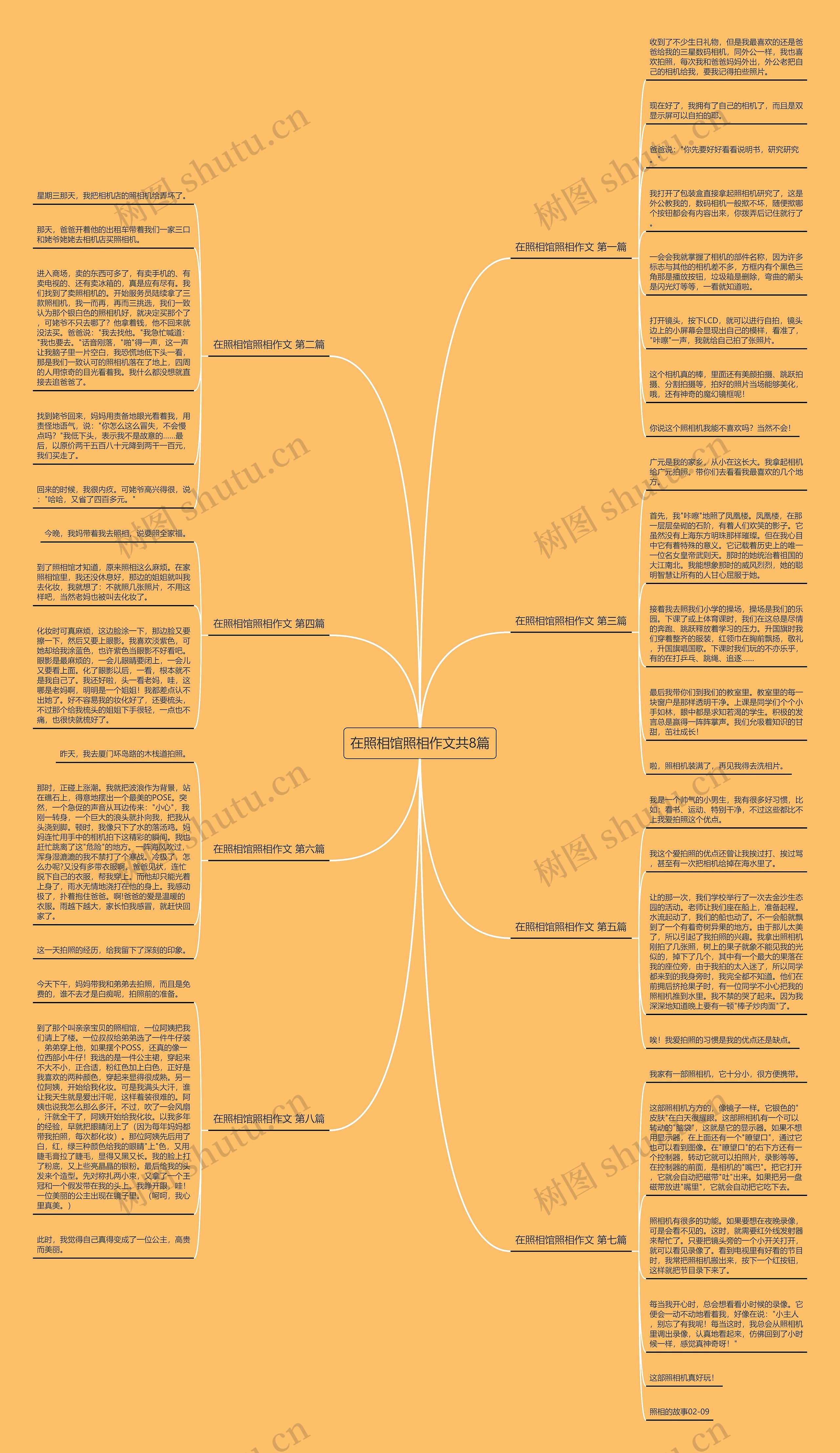 在照相馆照相作文共8篇 在照相馆照相作文共8篇