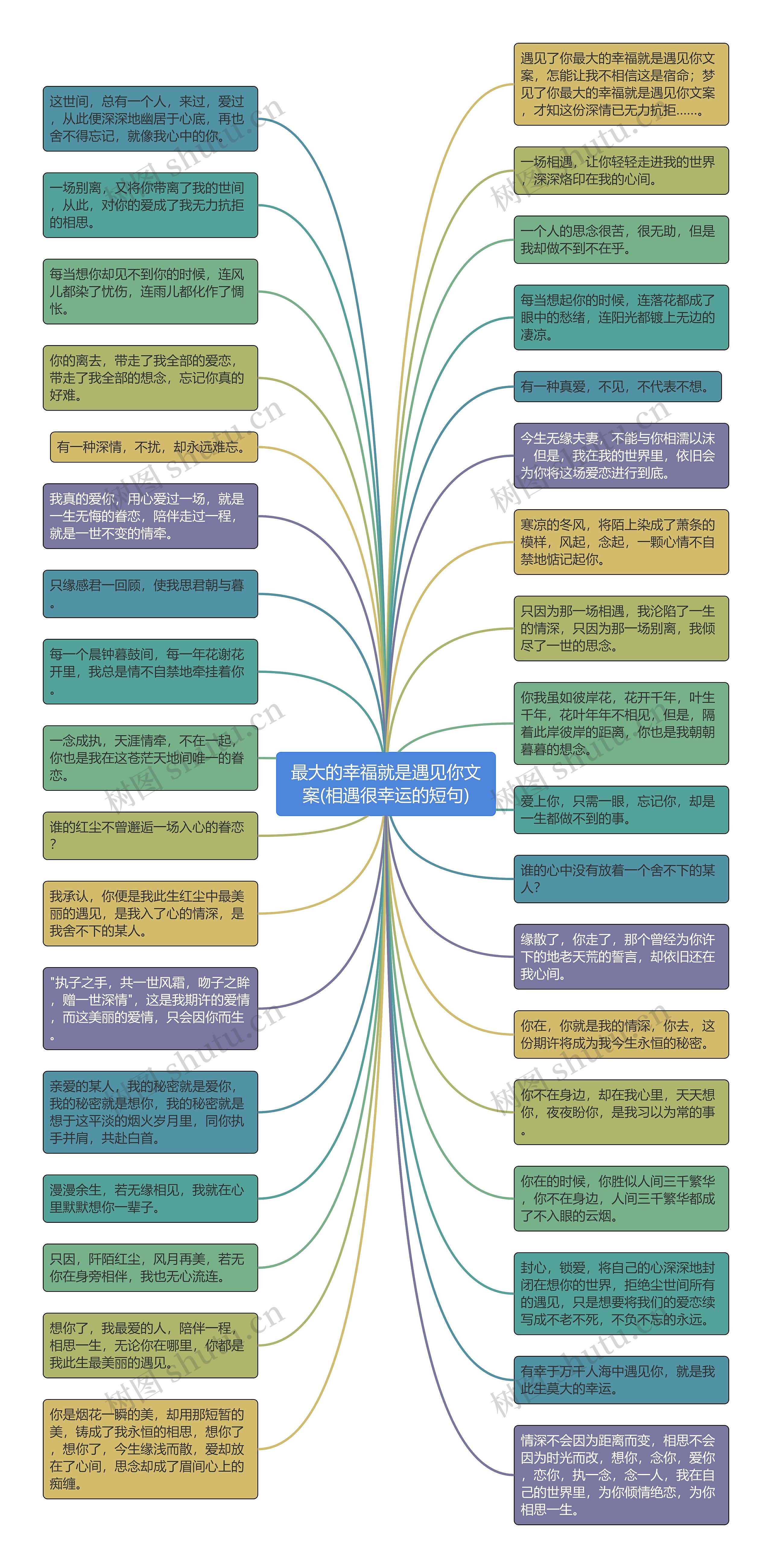 最大的幸福就是遇见你文案(相遇很幸运的短句)思维导图