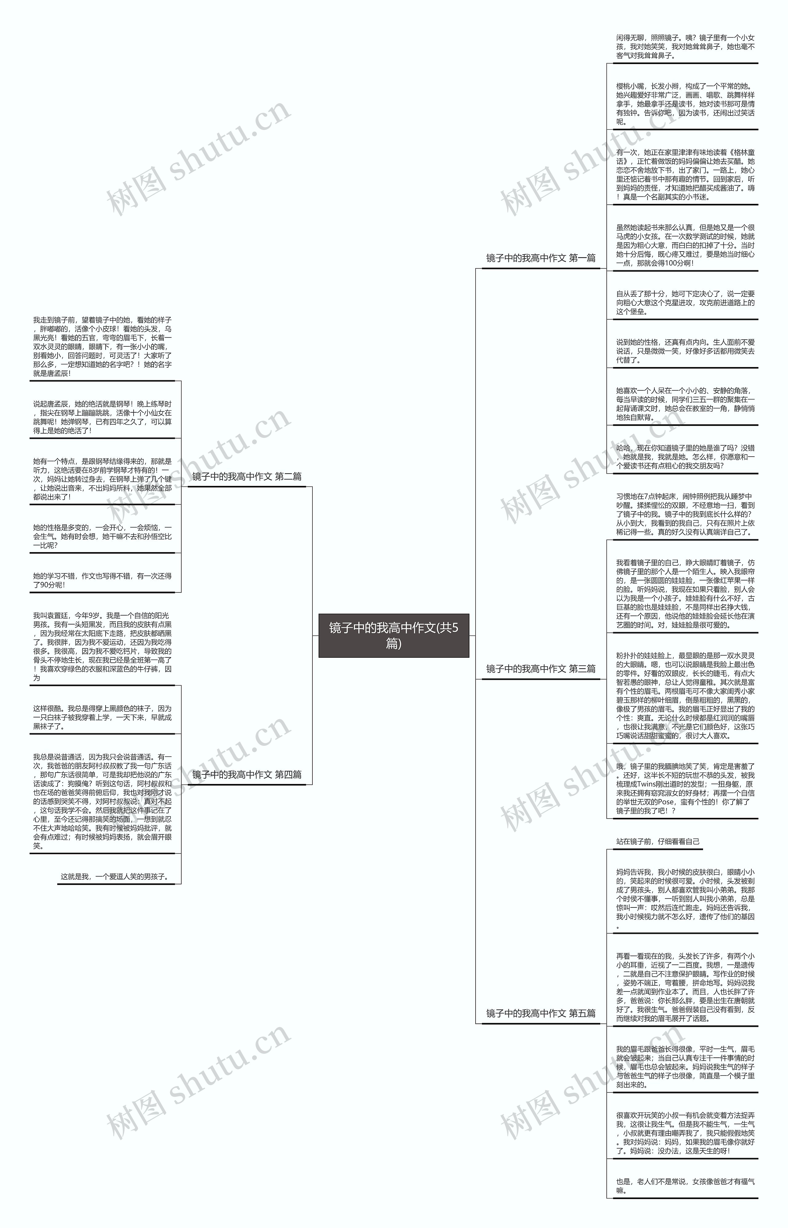 镜子中的我高中作文(共5篇)思维导图