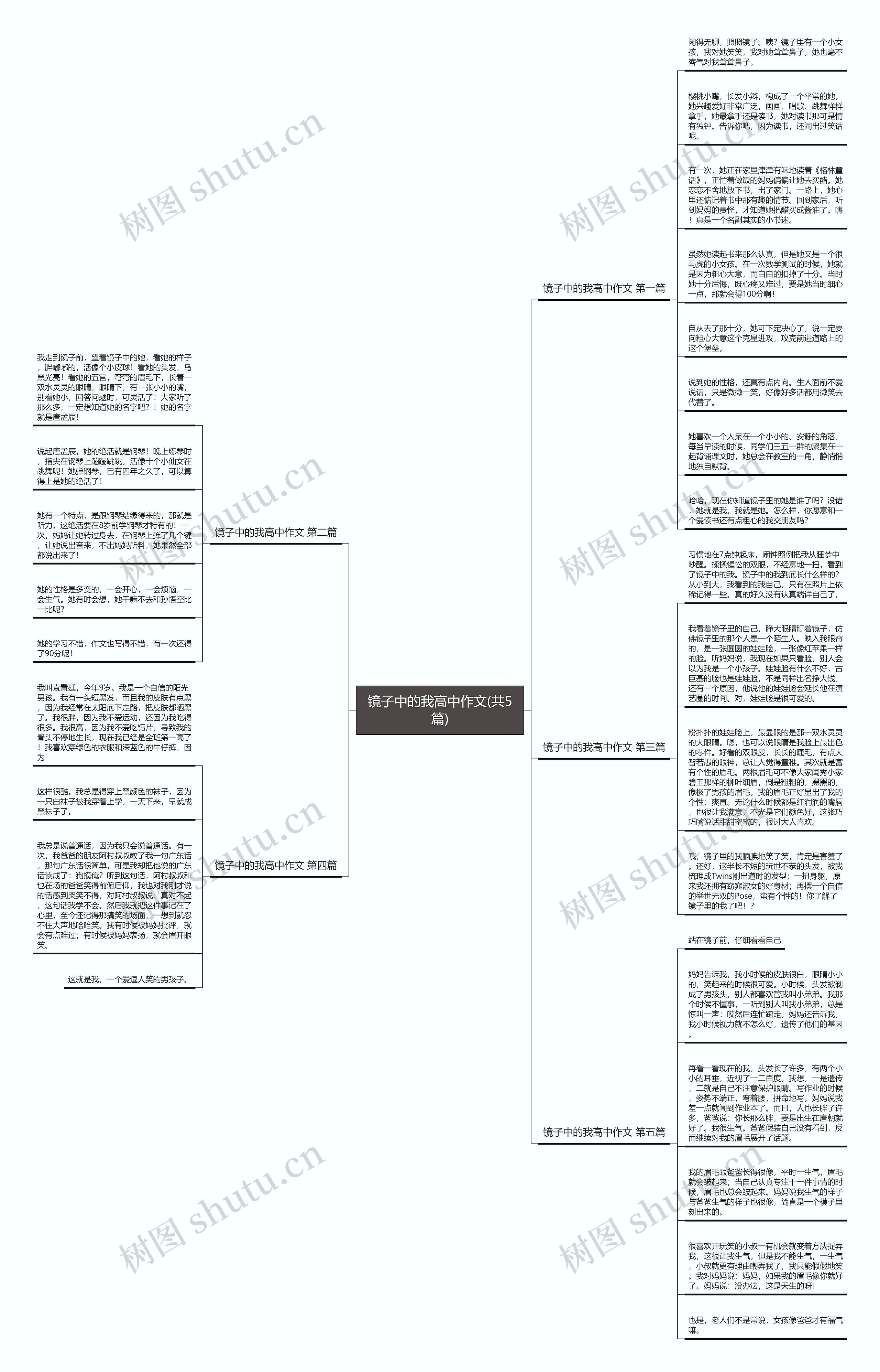 镜子中的我高中作文(共5篇) 镜子中的我高中作文(共5篇)