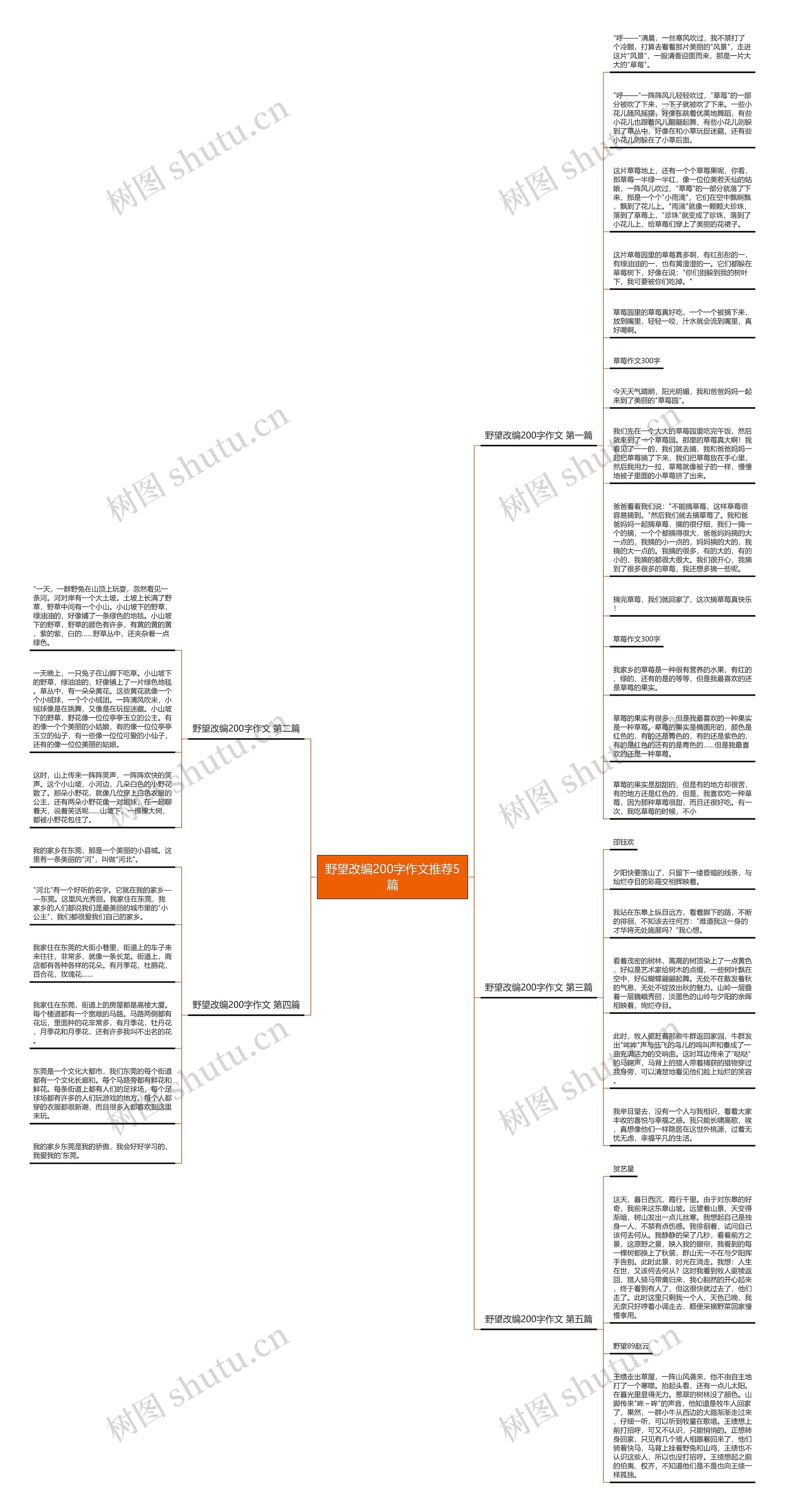 野望改编200字作文推荐5篇思维导图