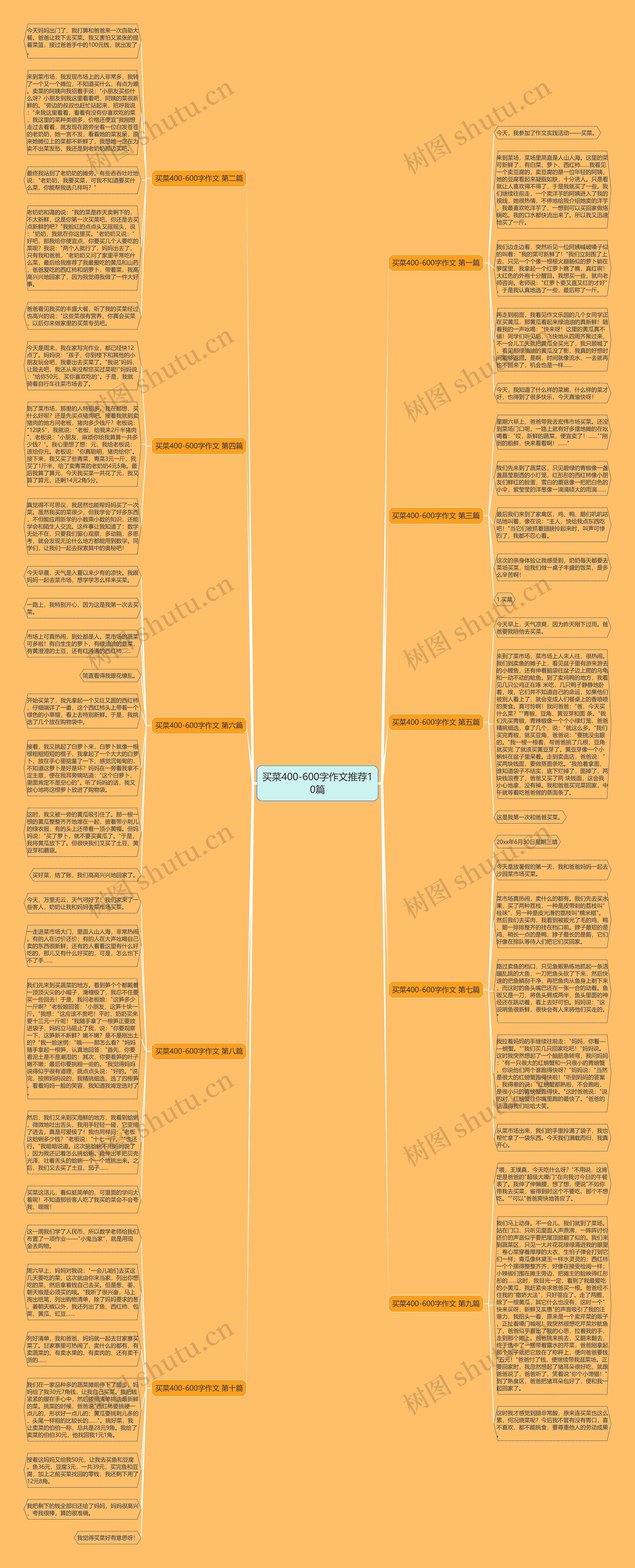 买菜400-600字作文推荐10篇思维导图