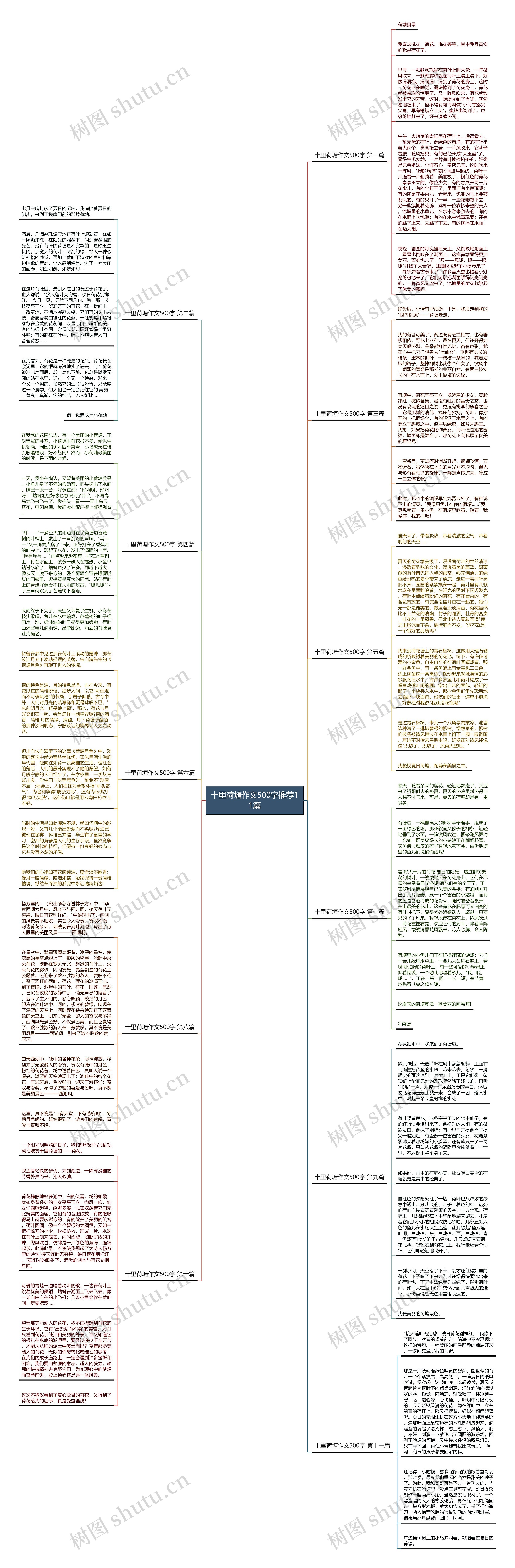 十里荷塘作文500字推荐11篇思维导图