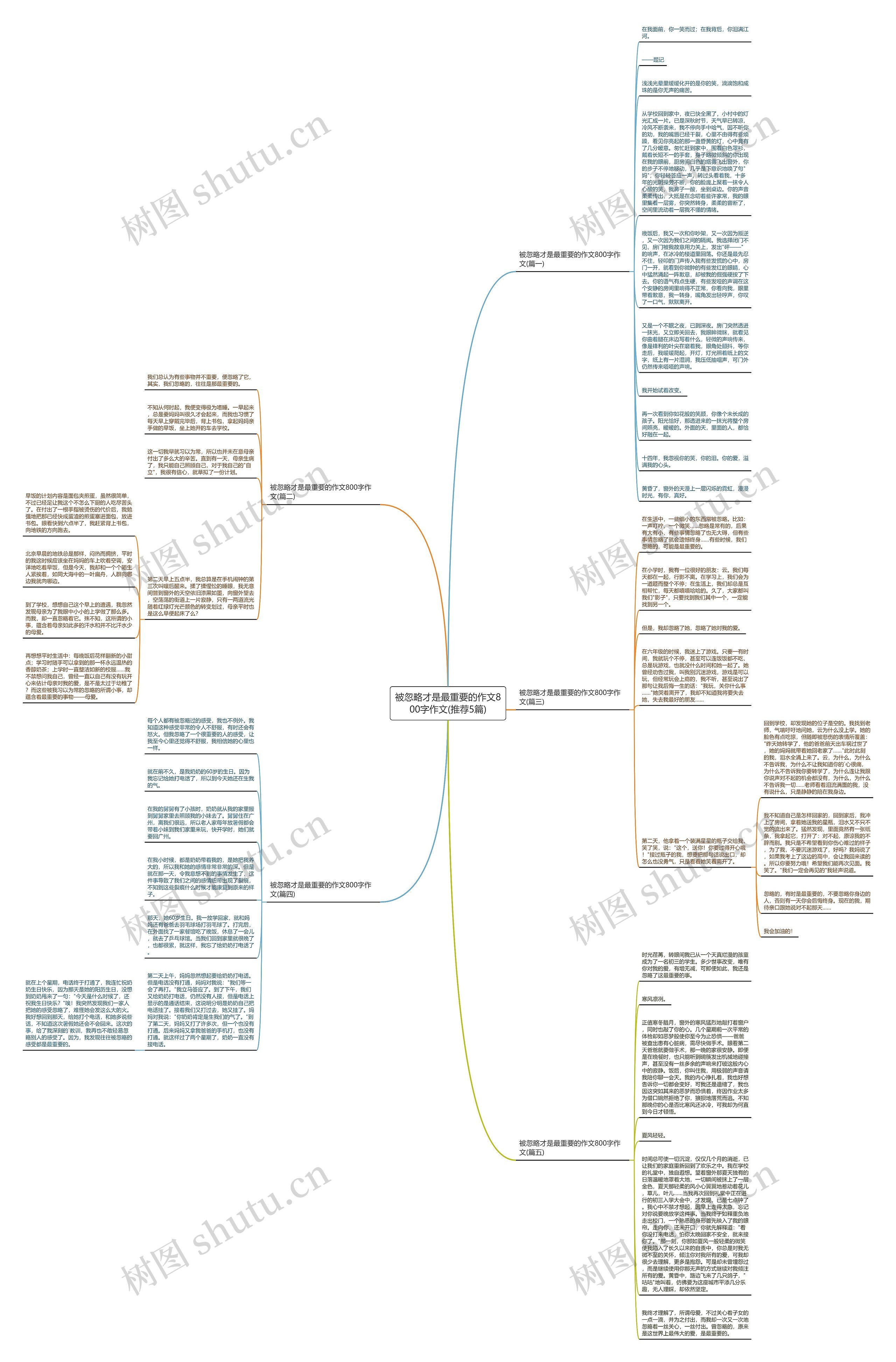 被忽略才是最重要的作文800字作文(推荐5篇)思维导图