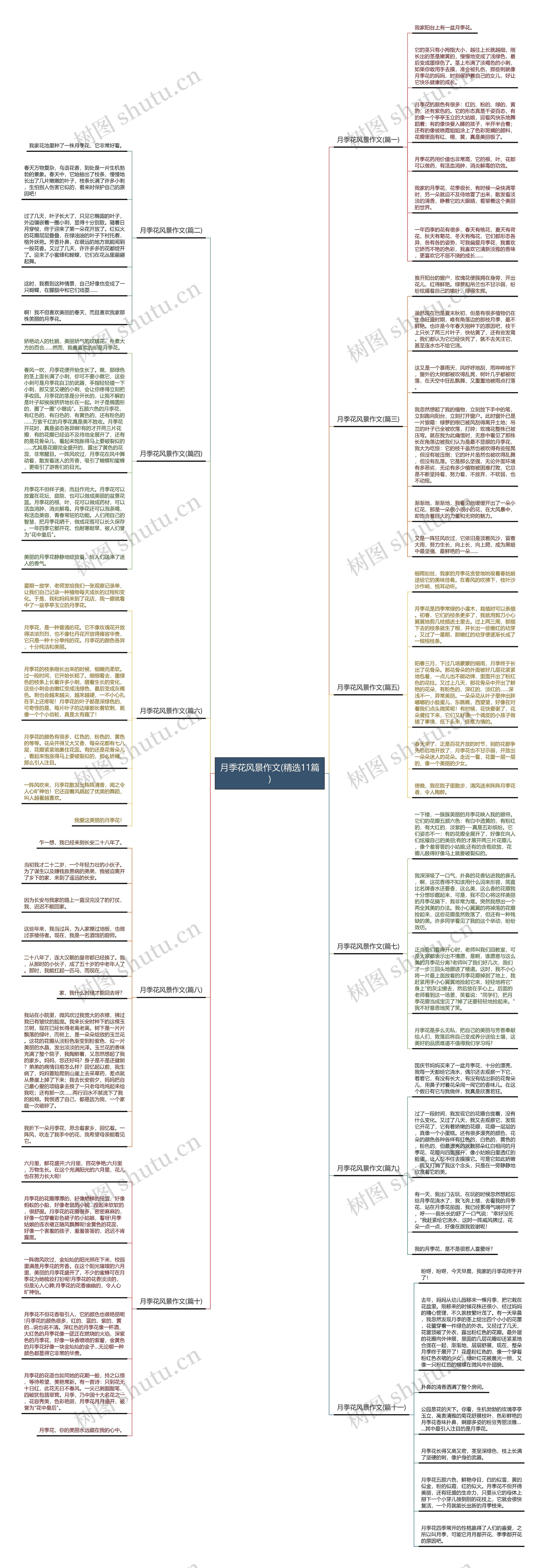月季花风景作文(精选11篇) 月季花风景作文(精选11篇)
