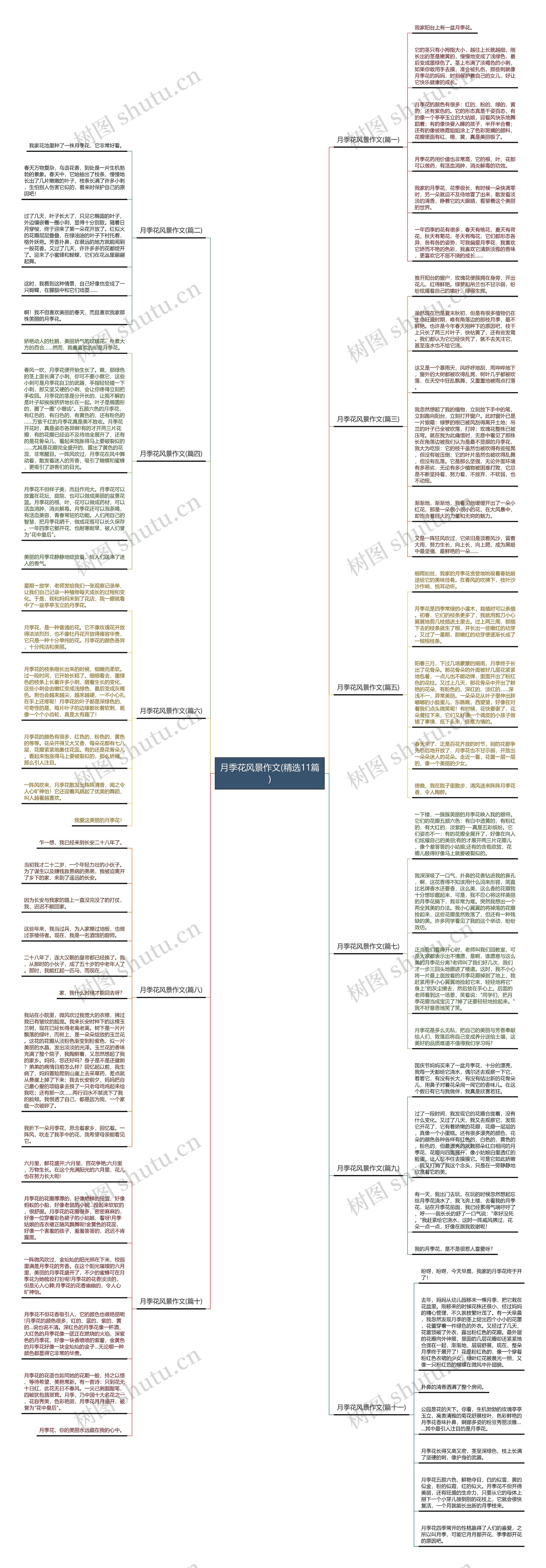 月季花风景作文(精选11篇)思维导图